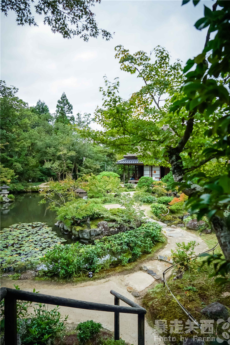 京都自助遊攻略