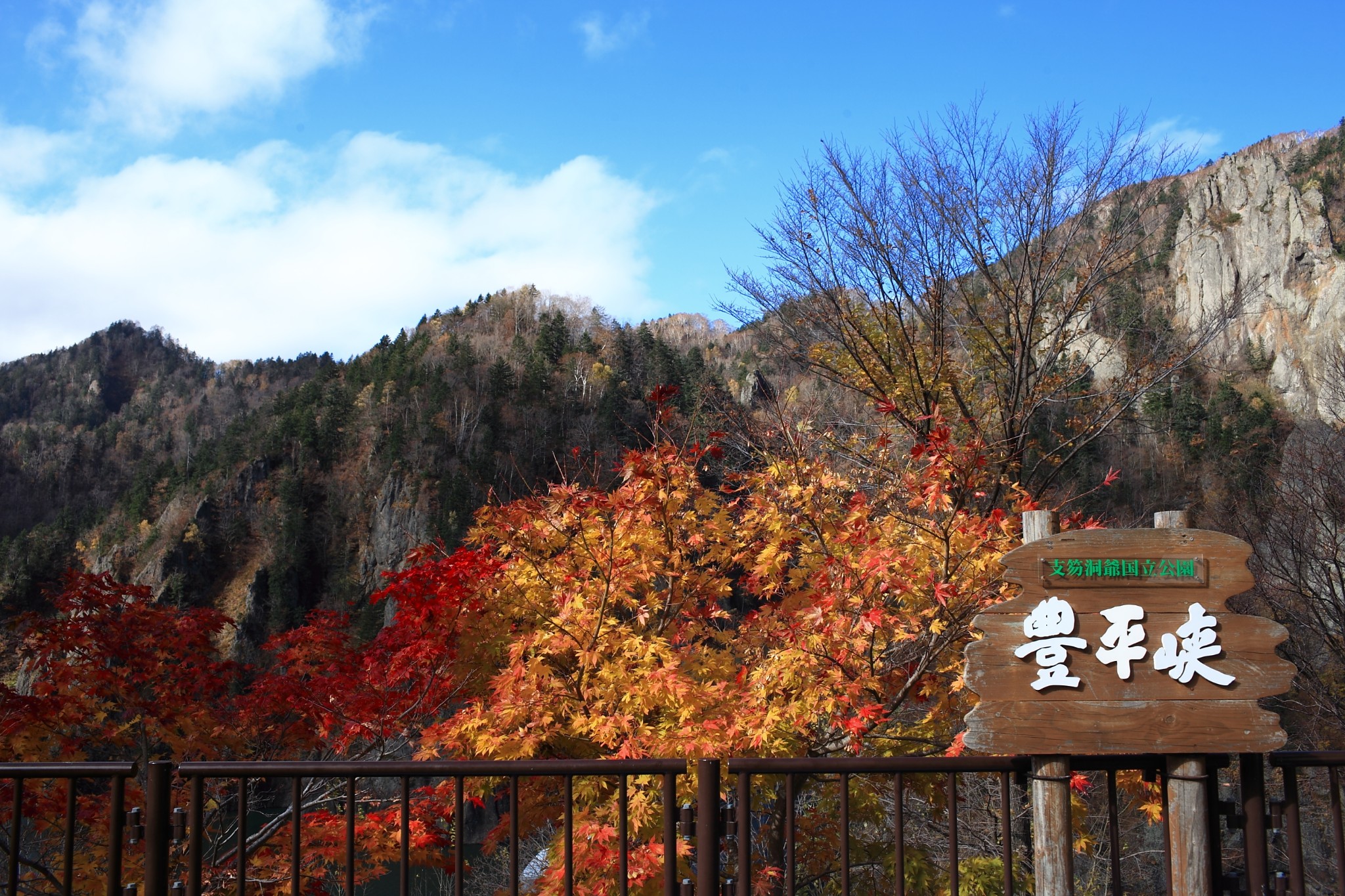 北海道自助遊攻略