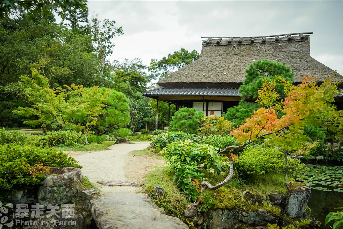 京都自助遊攻略