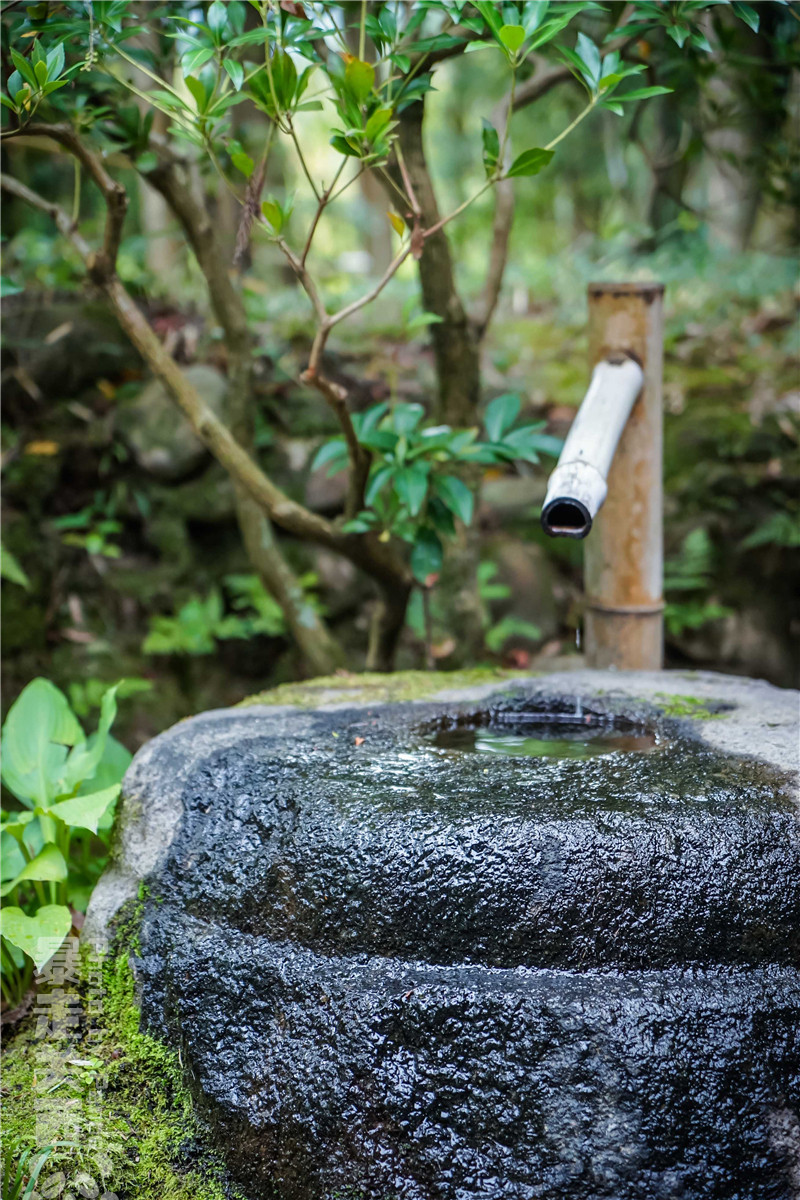 京都自助遊攻略