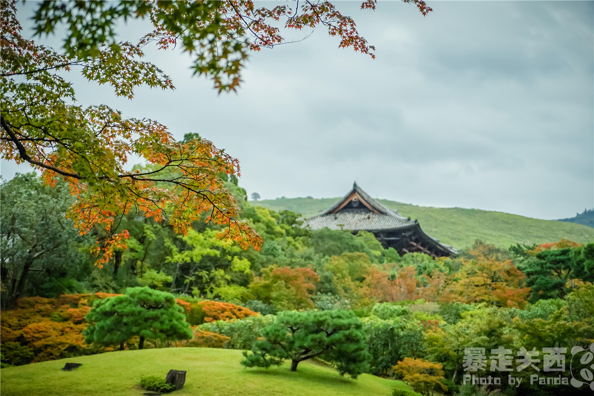 京都自助遊攻略