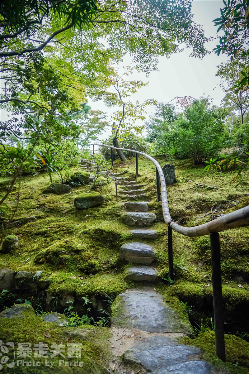 京都自助遊攻略