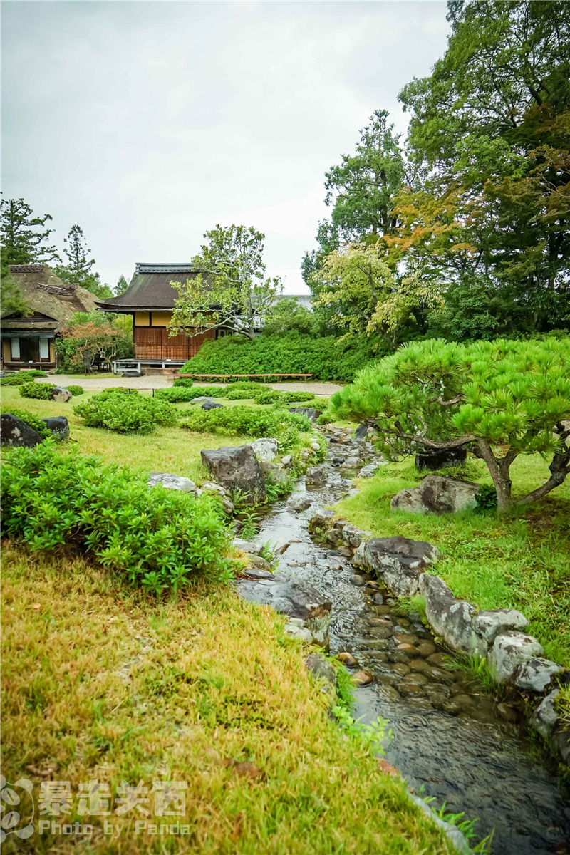 京都自助遊攻略