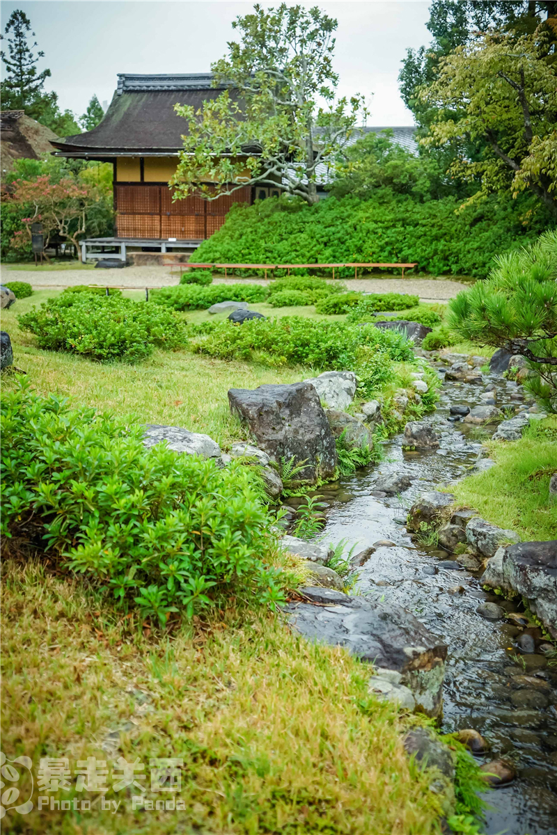 京都自助遊攻略