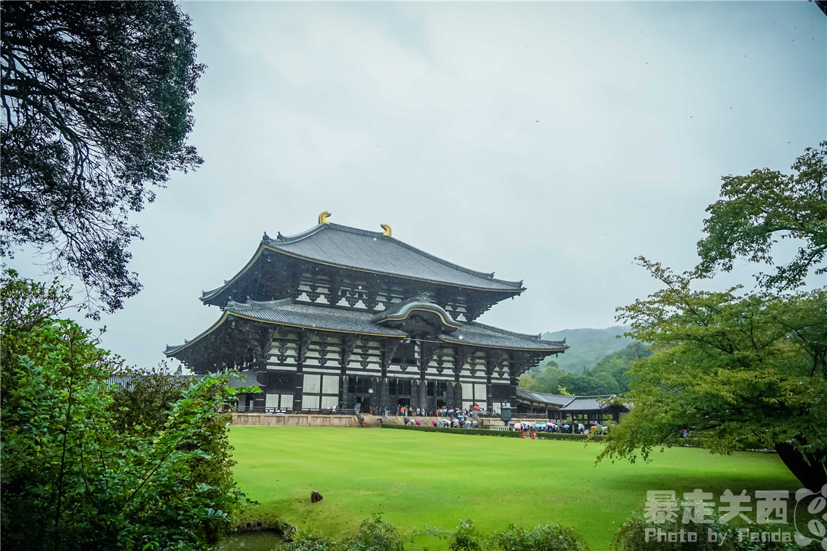 京都自助遊攻略