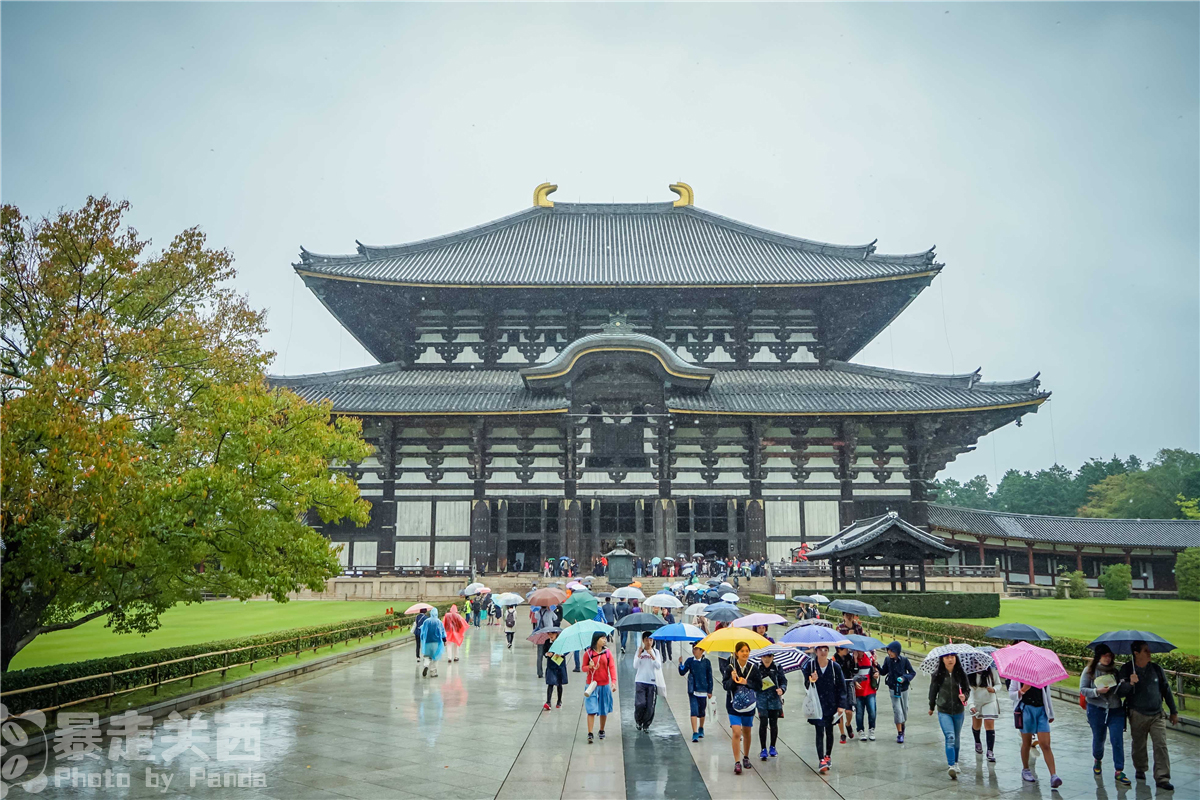 京都自助遊攻略