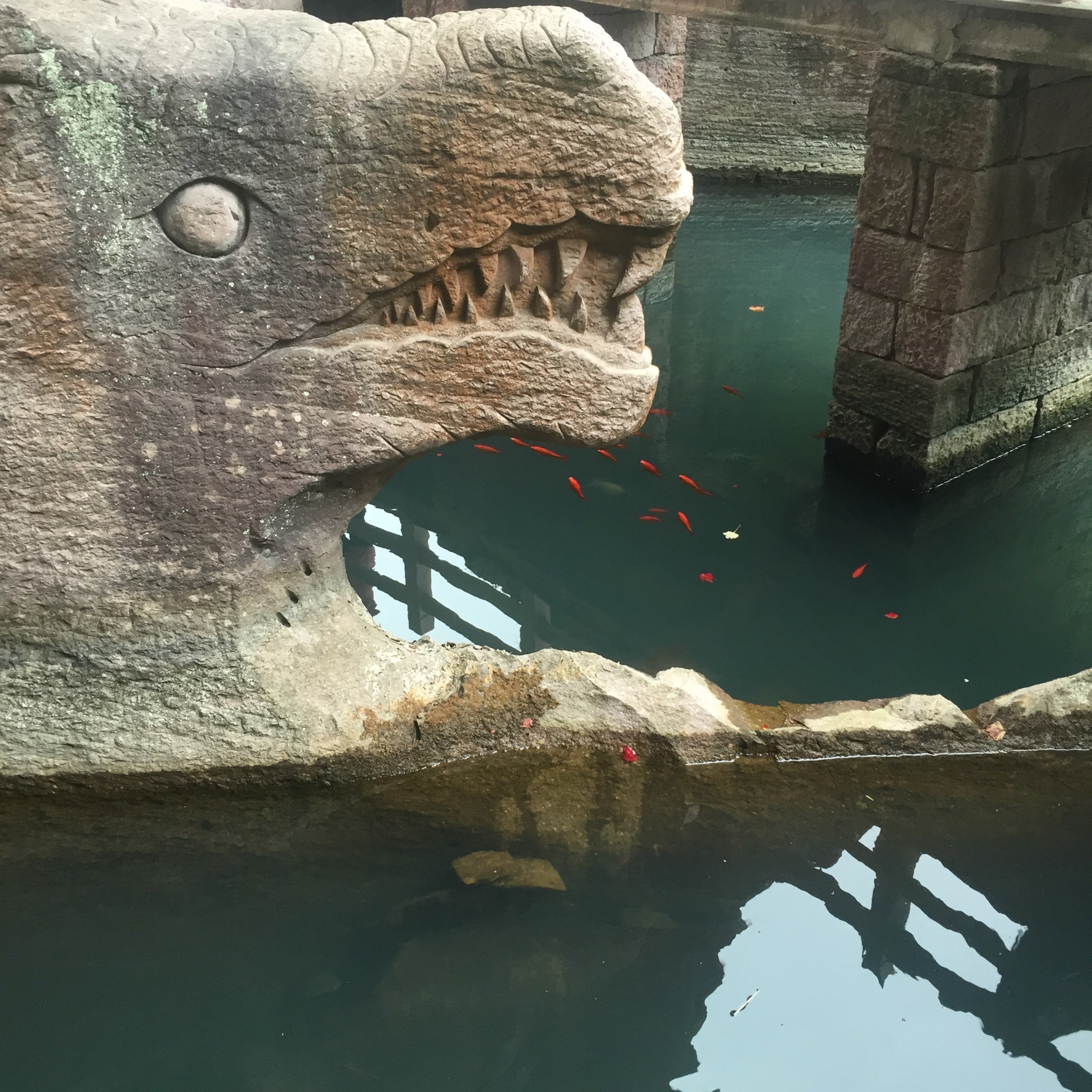 温岭双门硐游记, 双门硐旅游攻略, 双门硐自助游游记 - 马蜂窝