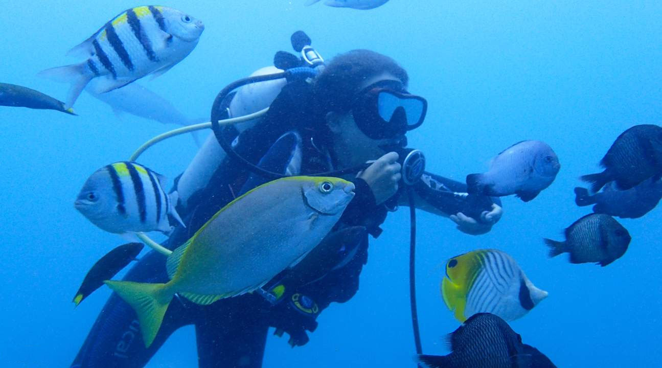 臺灣 臺北東北鼻頭角潛水體驗(海下探索 潛游樂趣 享受魚群繚繞的悠遊