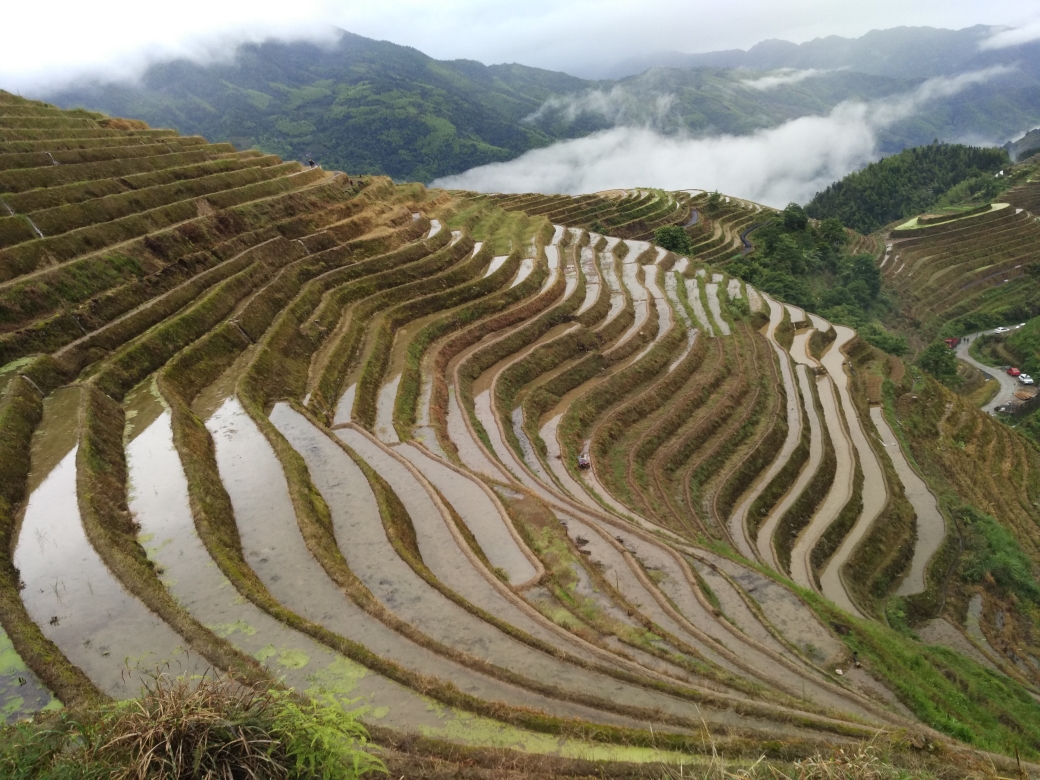 桂林灕江徒步-陽朔-龍脊梯田四日自助遊,廣西自助遊攻略 - 馬蜂窩