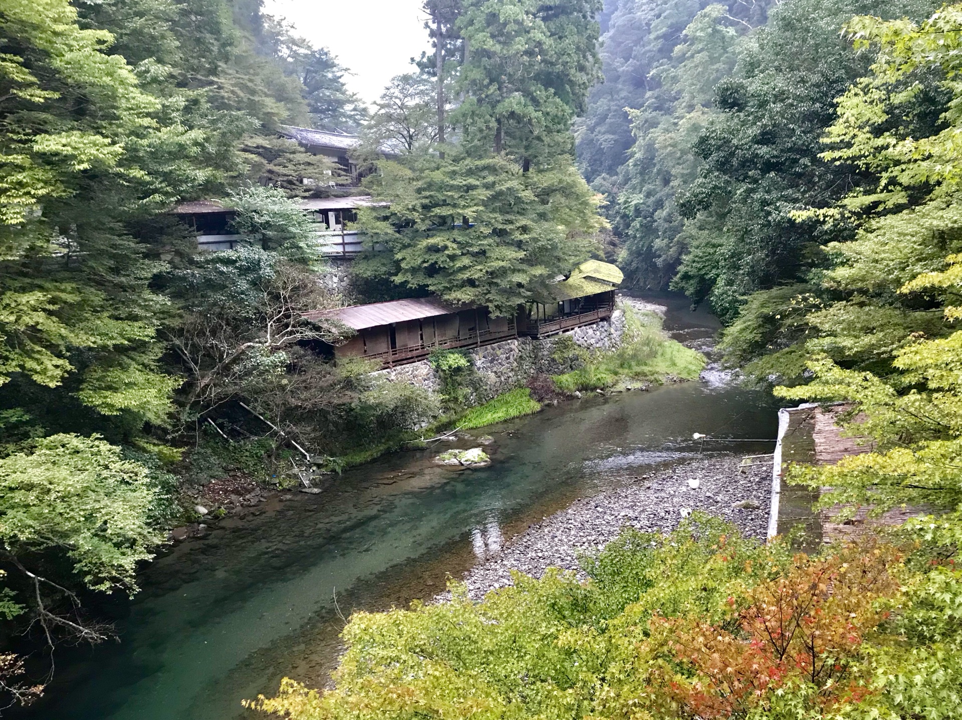 京都自助遊攻略