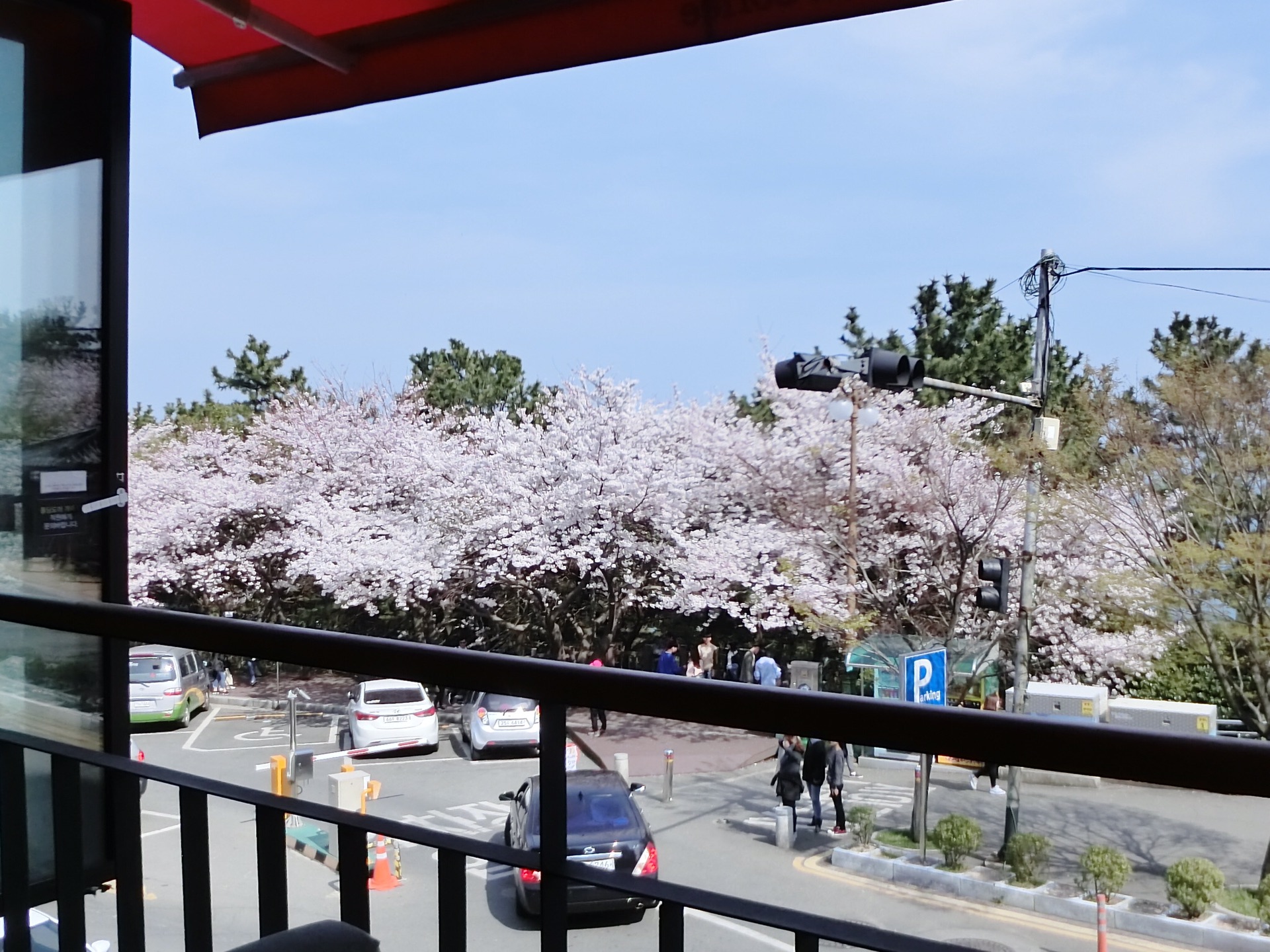 seoulbusan随记遇上最美的季节首尔釜山