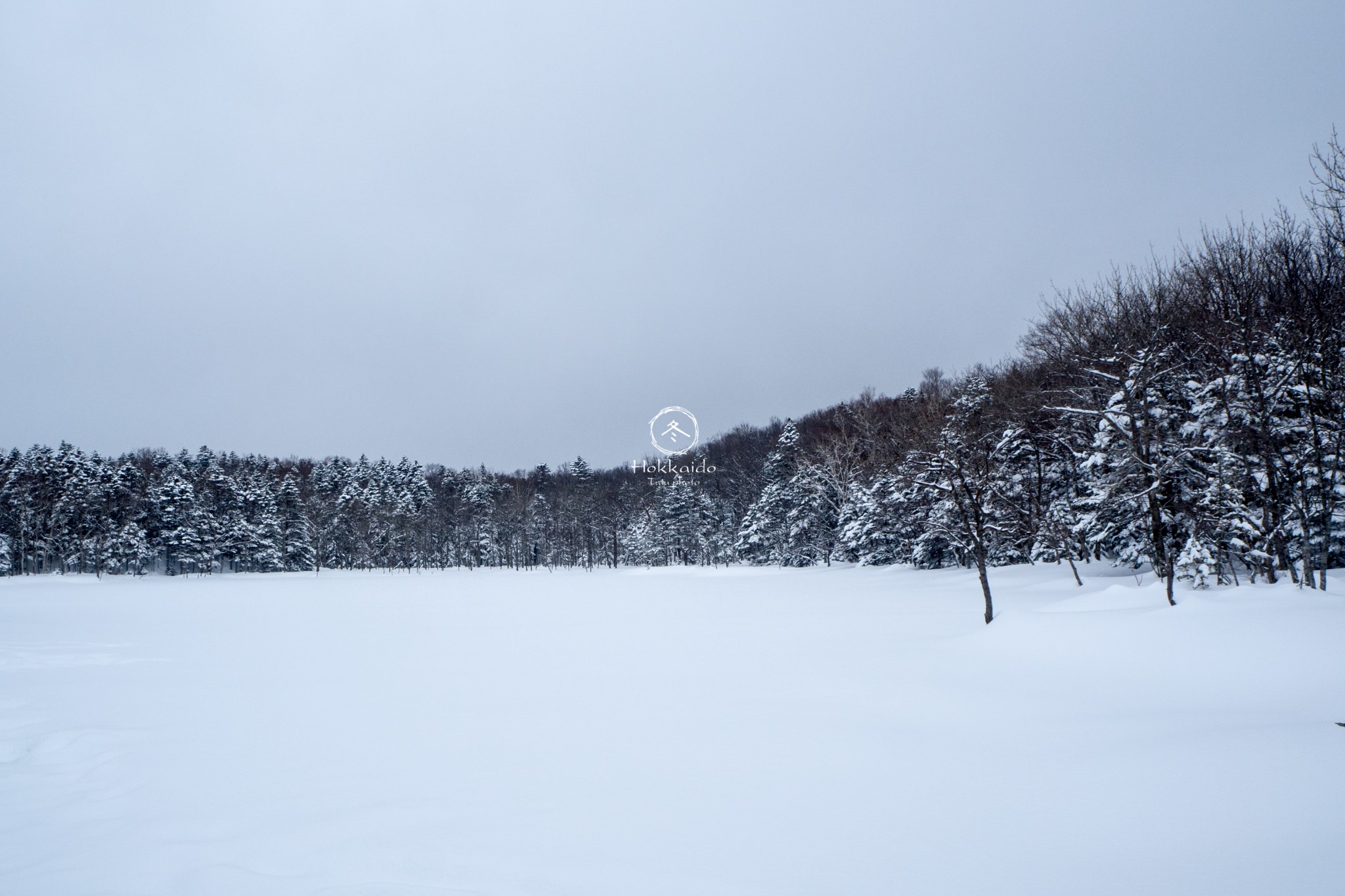 北海道自助遊攻略