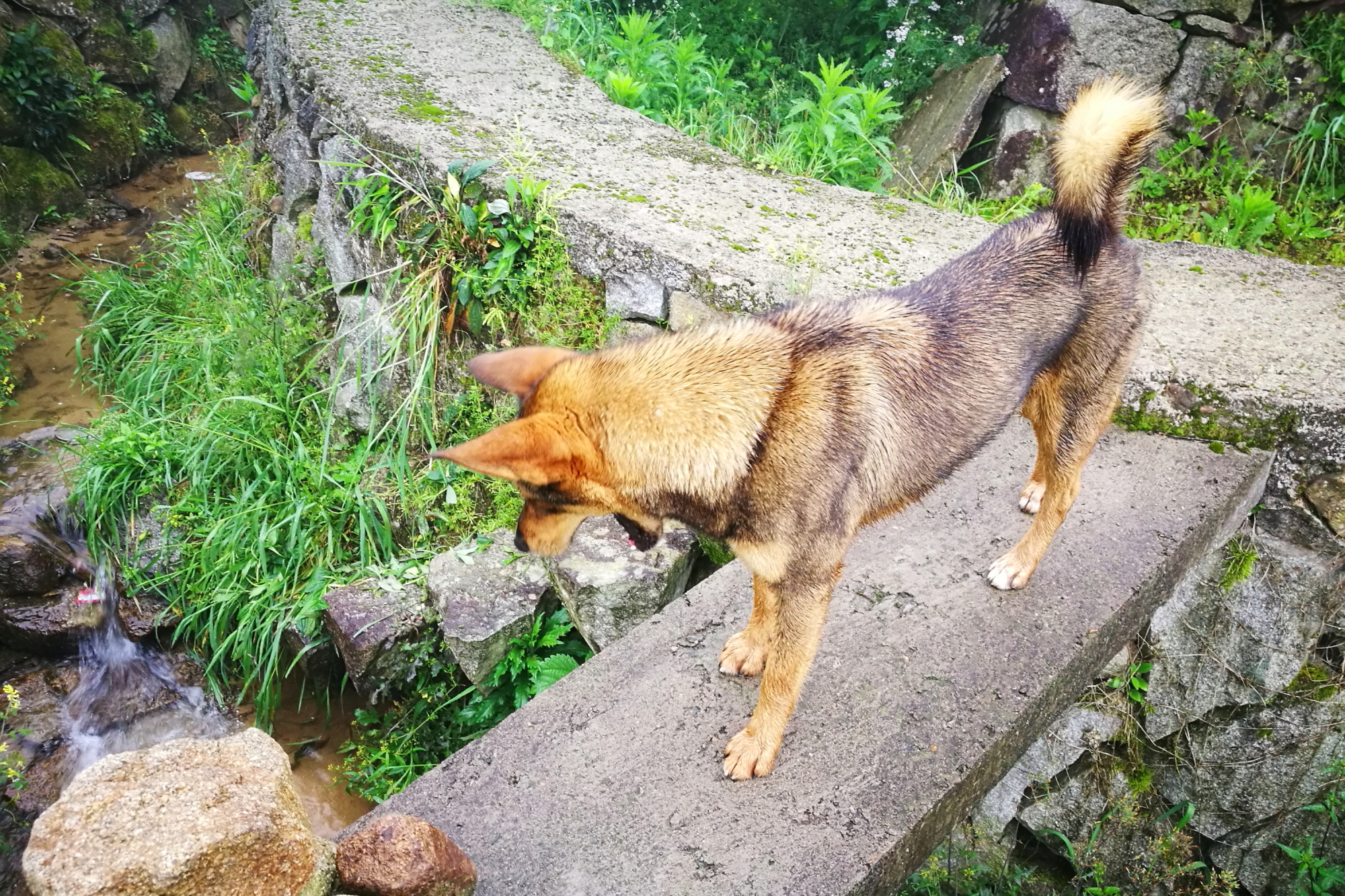 雲和自助遊攻略