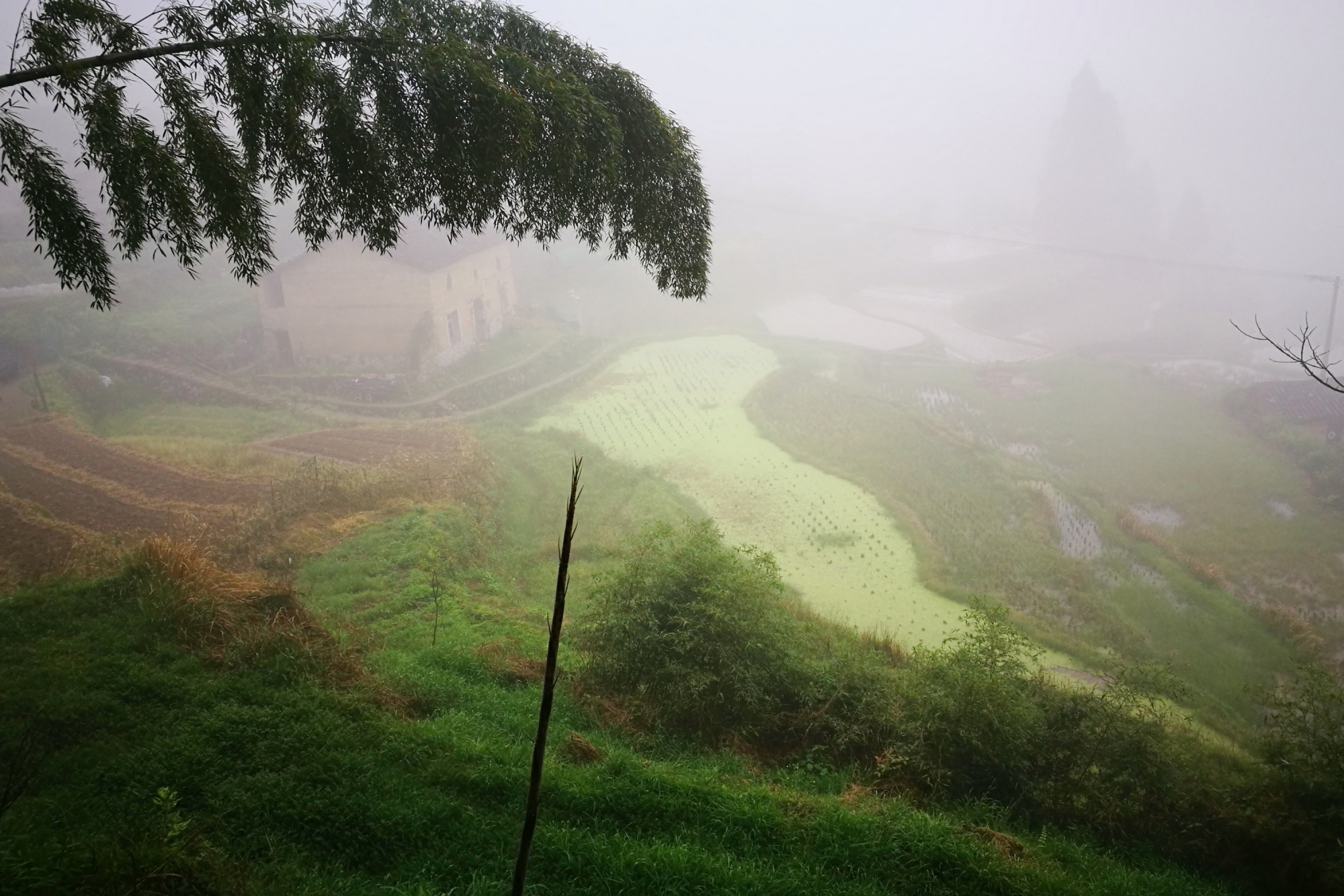 雲和自助遊攻略