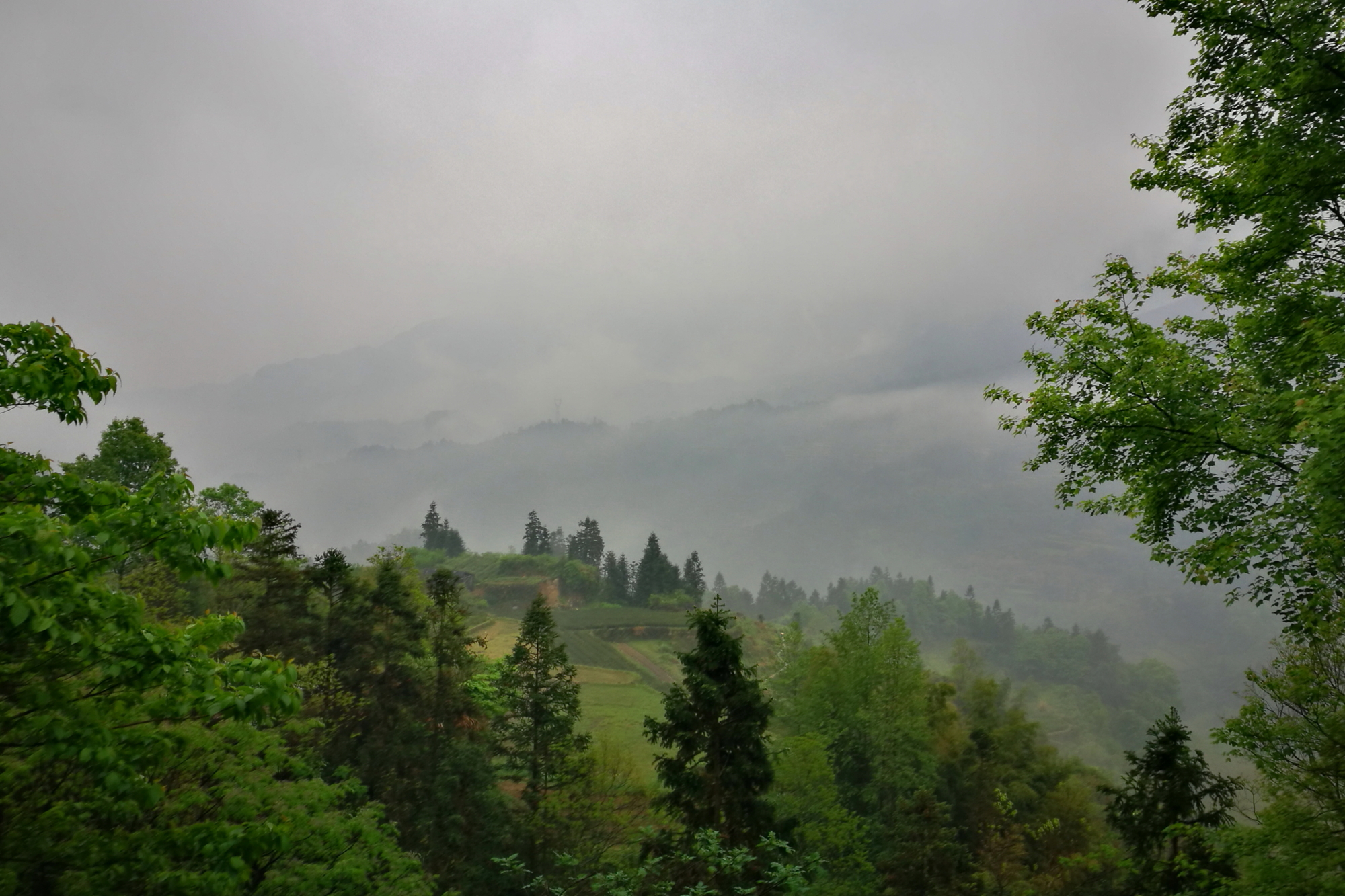 雲和自助遊攻略