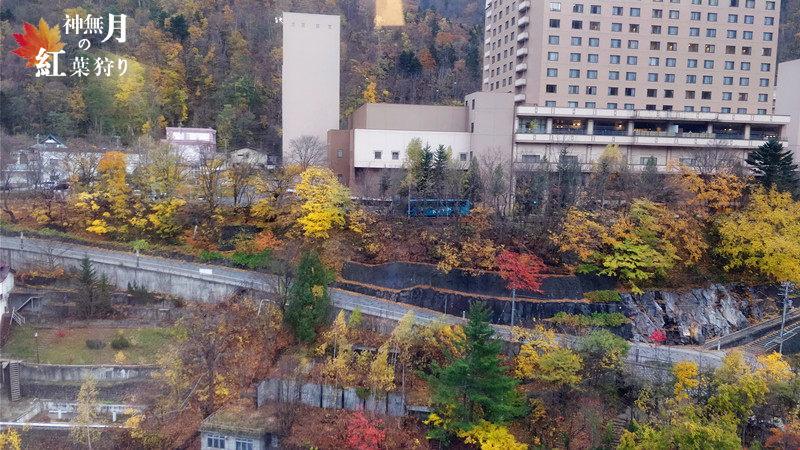 北海道自助遊攻略