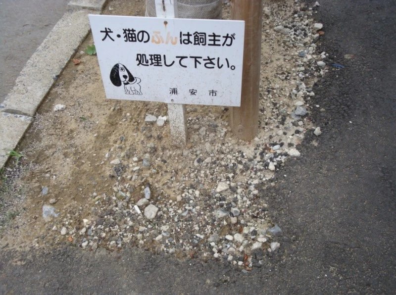 你是如何愛上日本的，去過幾次了 