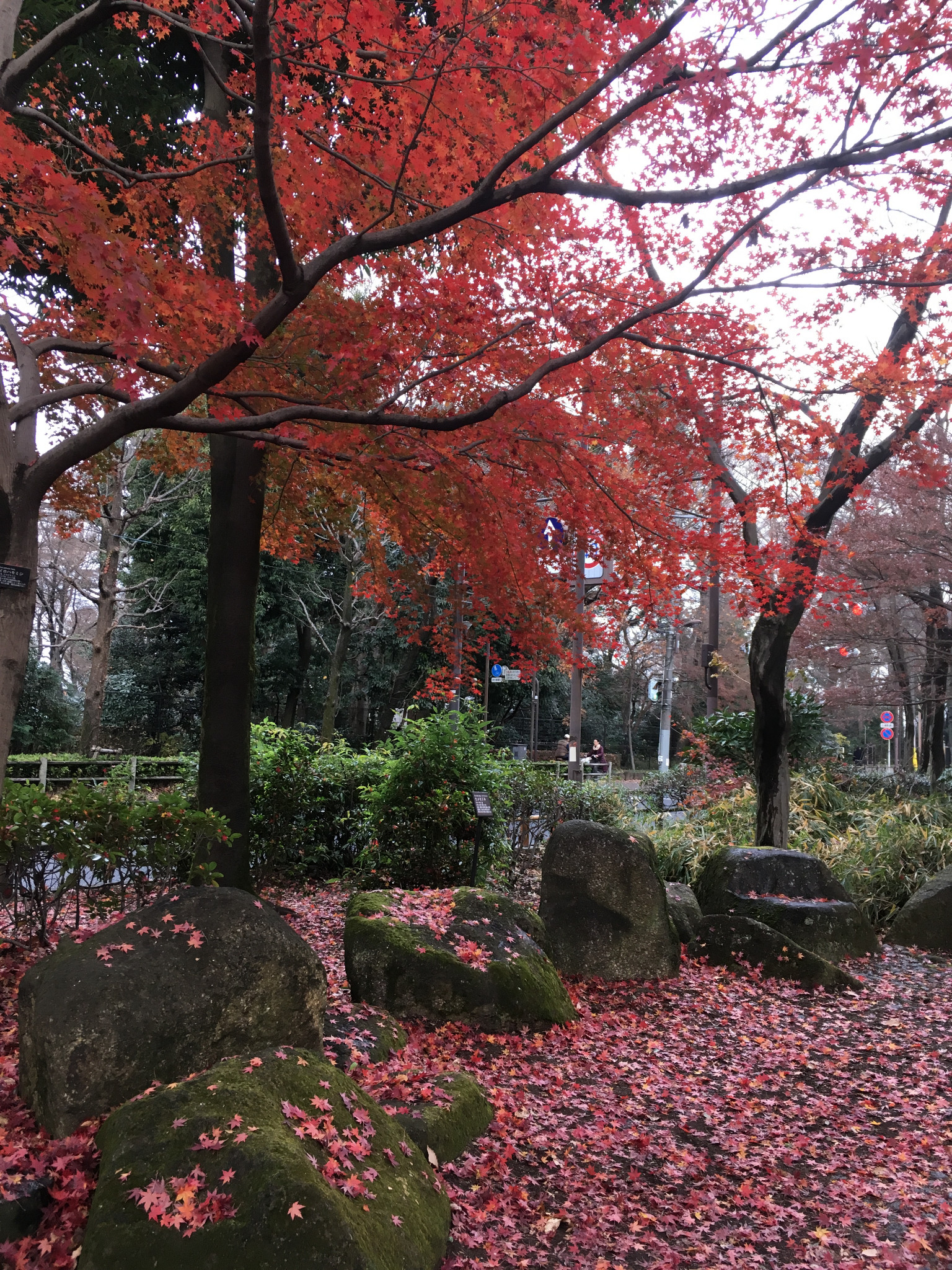 東京自助遊攻略