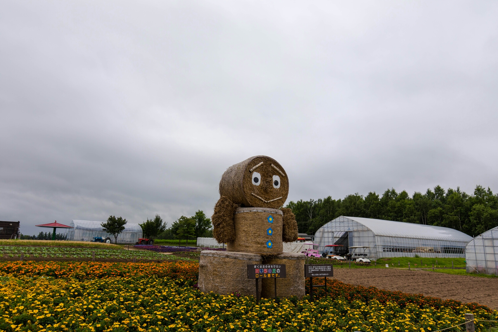 北海道自助遊攻略