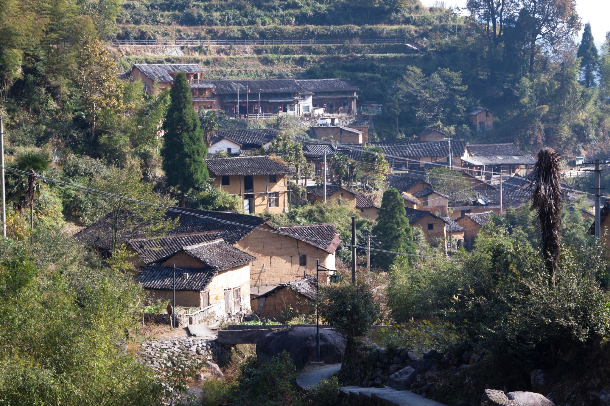 麗水自助遊攻略