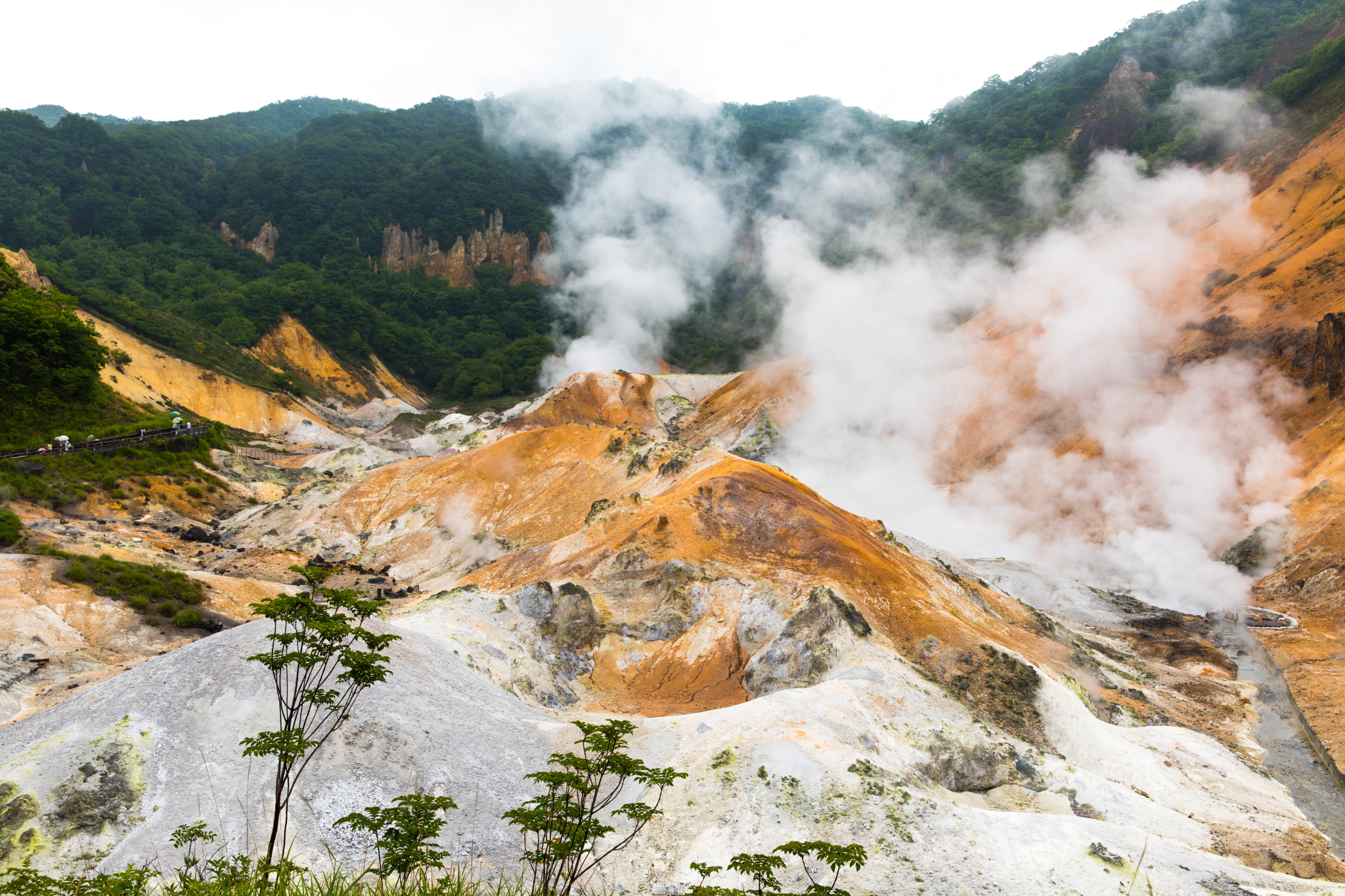 北海道自助遊攻略