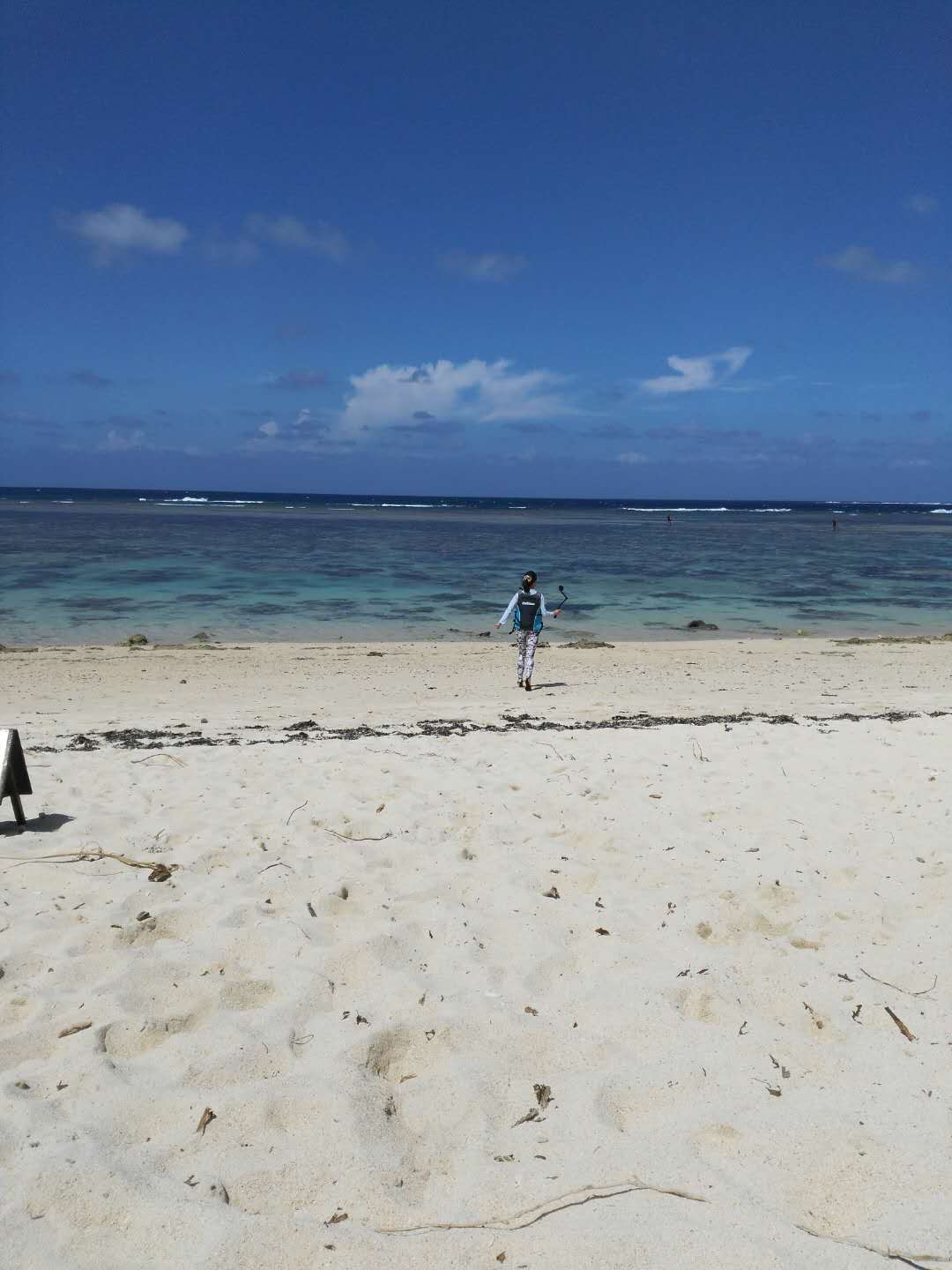 日本不只有樱花和红叶,还有海洋天堂-- 石垣岛追寻manta之旅