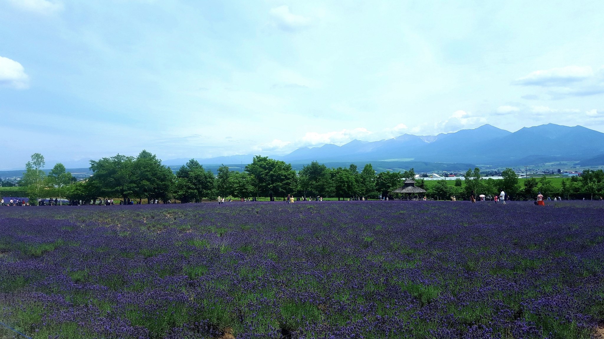 北海道自助遊攻略