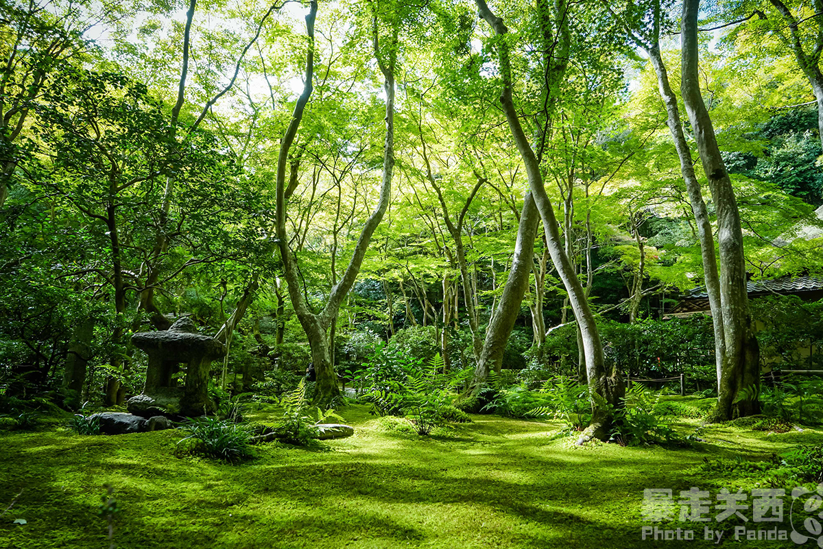 京都自助遊攻略