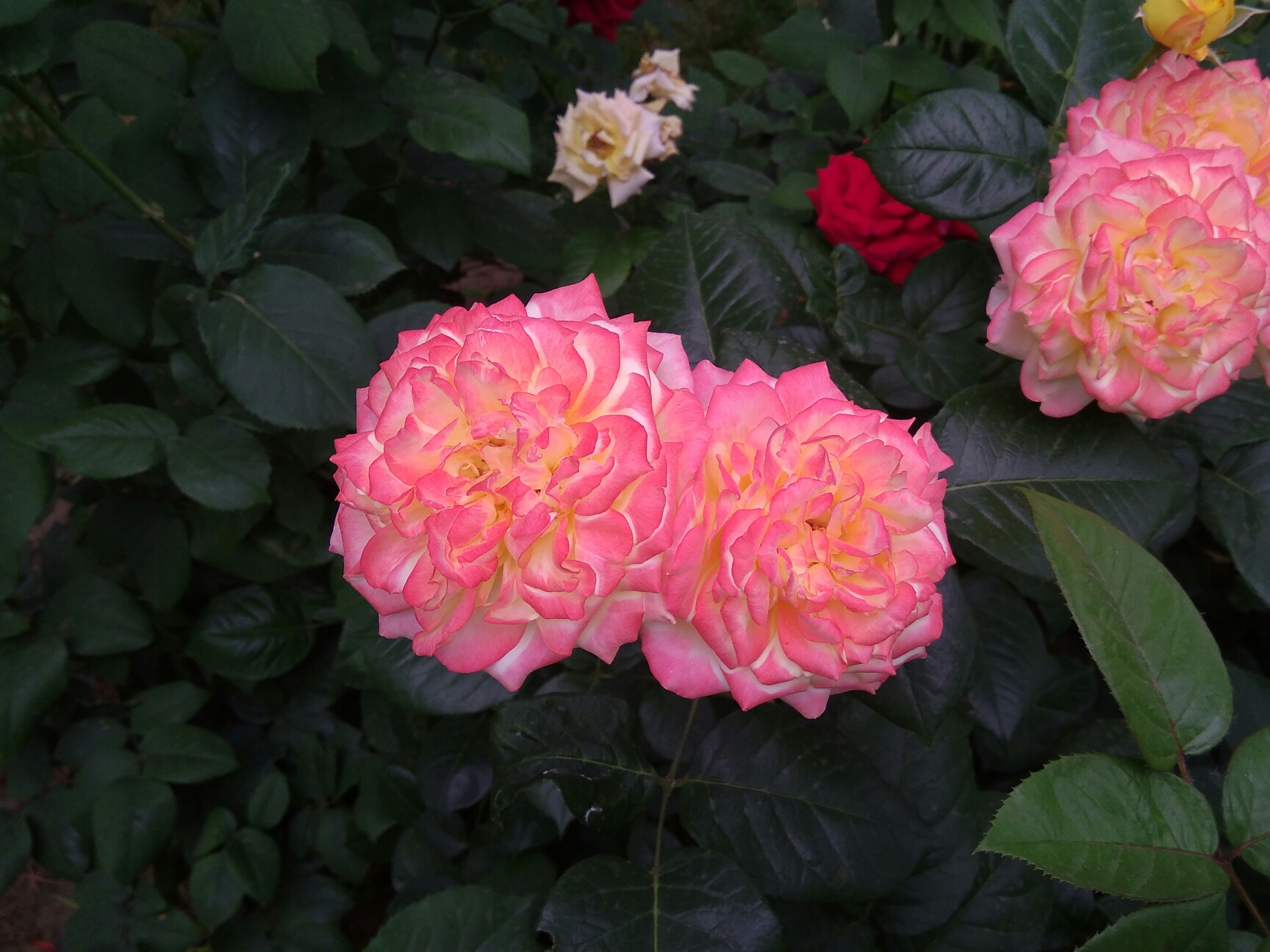 县里GDP高对市里有帮助吗_帮助别人的图片(2)