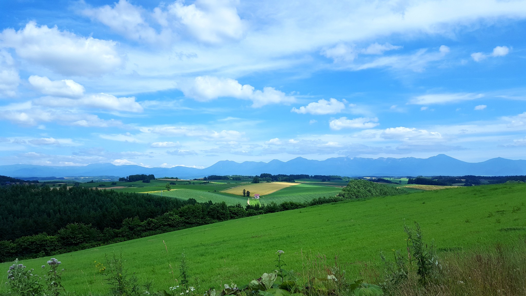 北海道自助遊攻略