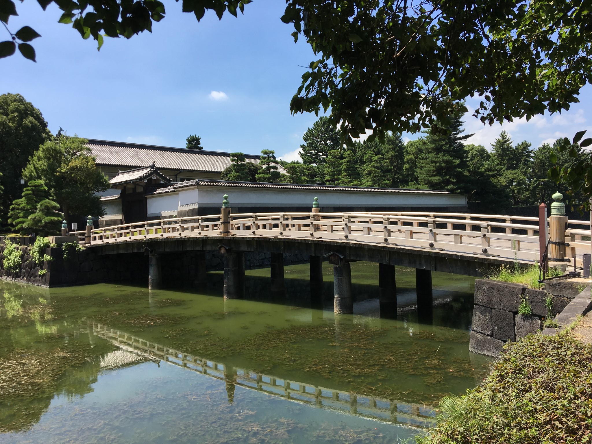 京都自助遊攻略