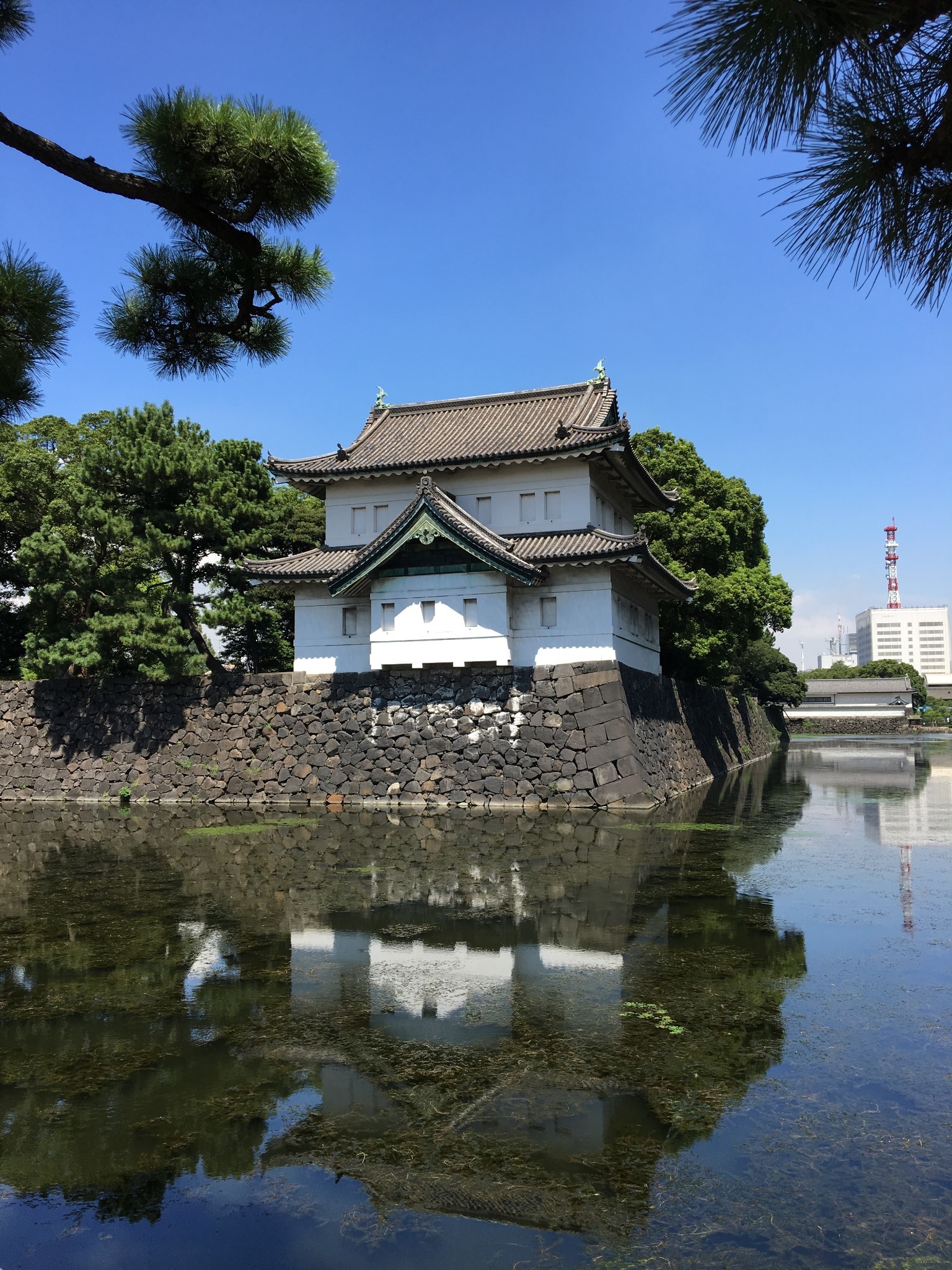 京都自助遊攻略