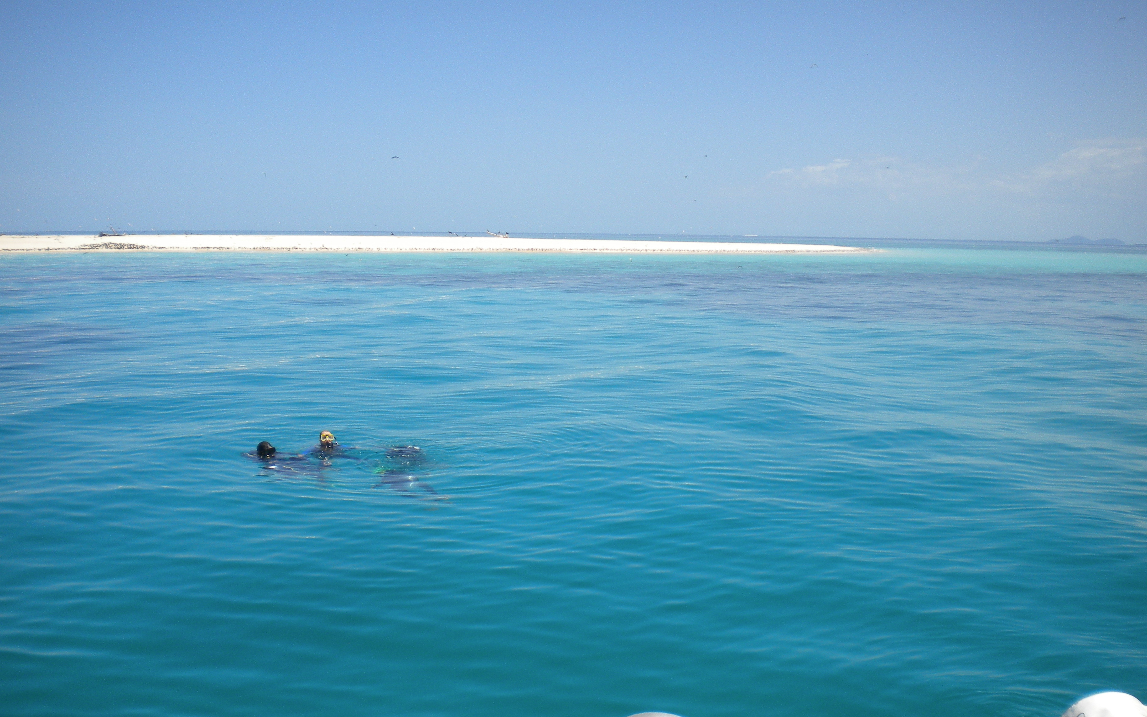 Michaelmas Cay