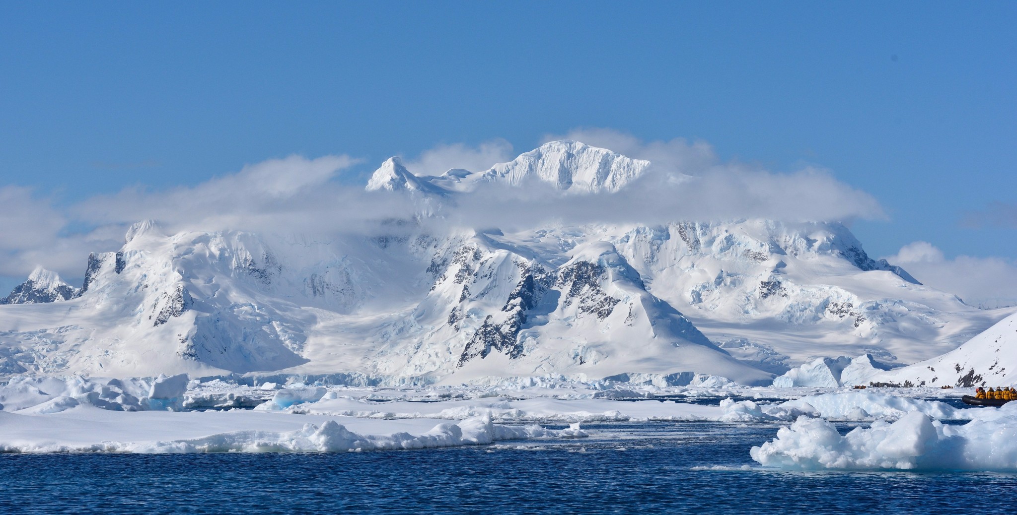 南极熊岛图片