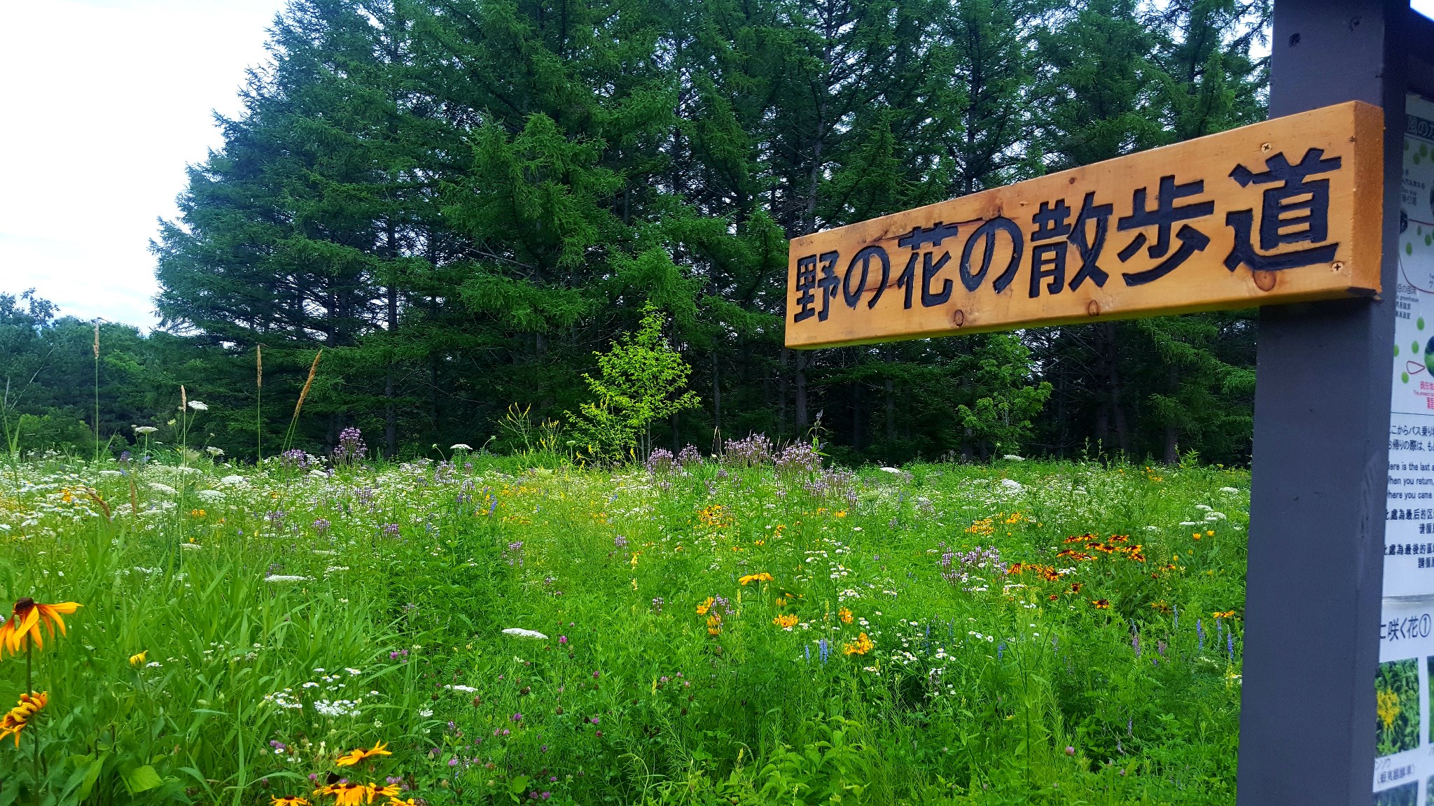 北海道自助遊攻略