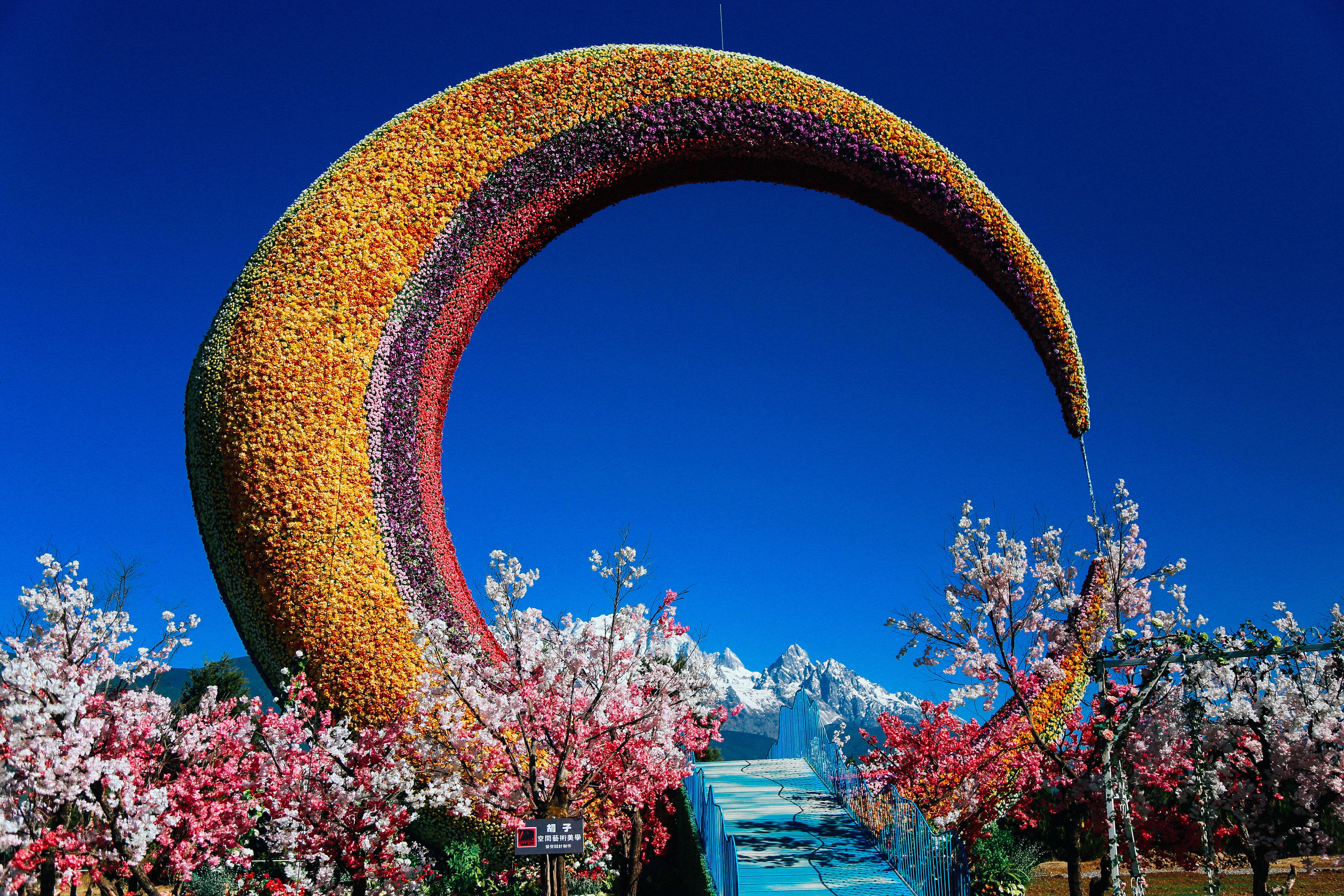 丽江雪山玫瑰庄园景区 大门票