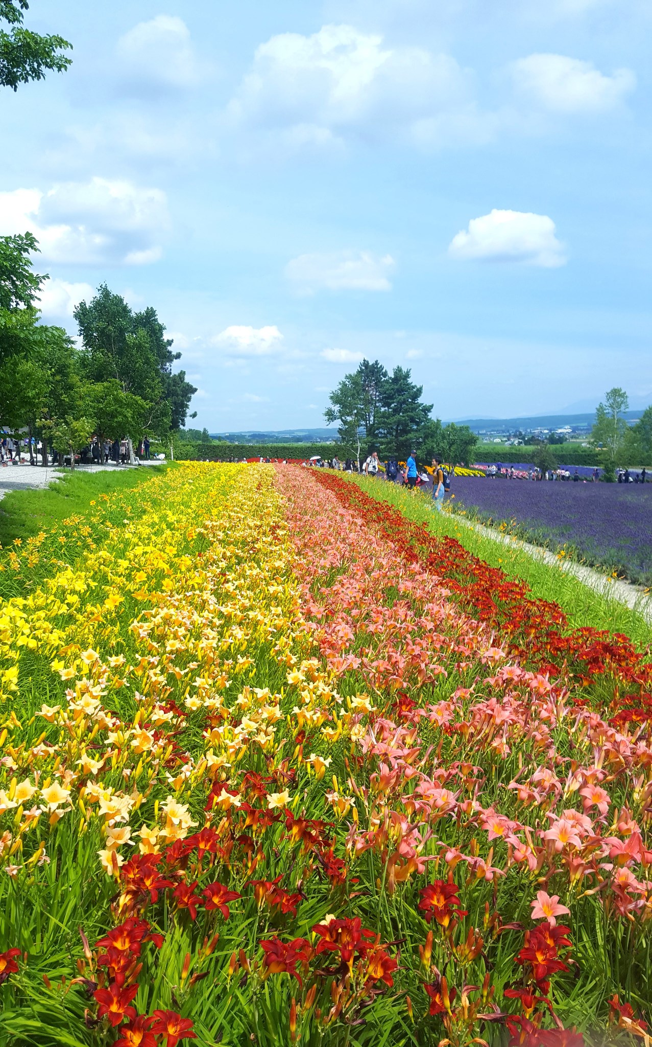 北海道自助遊攻略