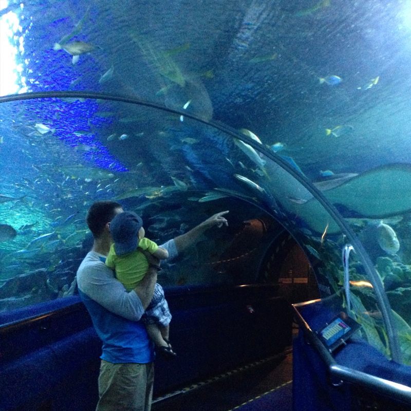 马来西亚吉隆坡aquaria Klcc水族馆门票 电子票 马蜂窝自由行 马蜂窝自由行