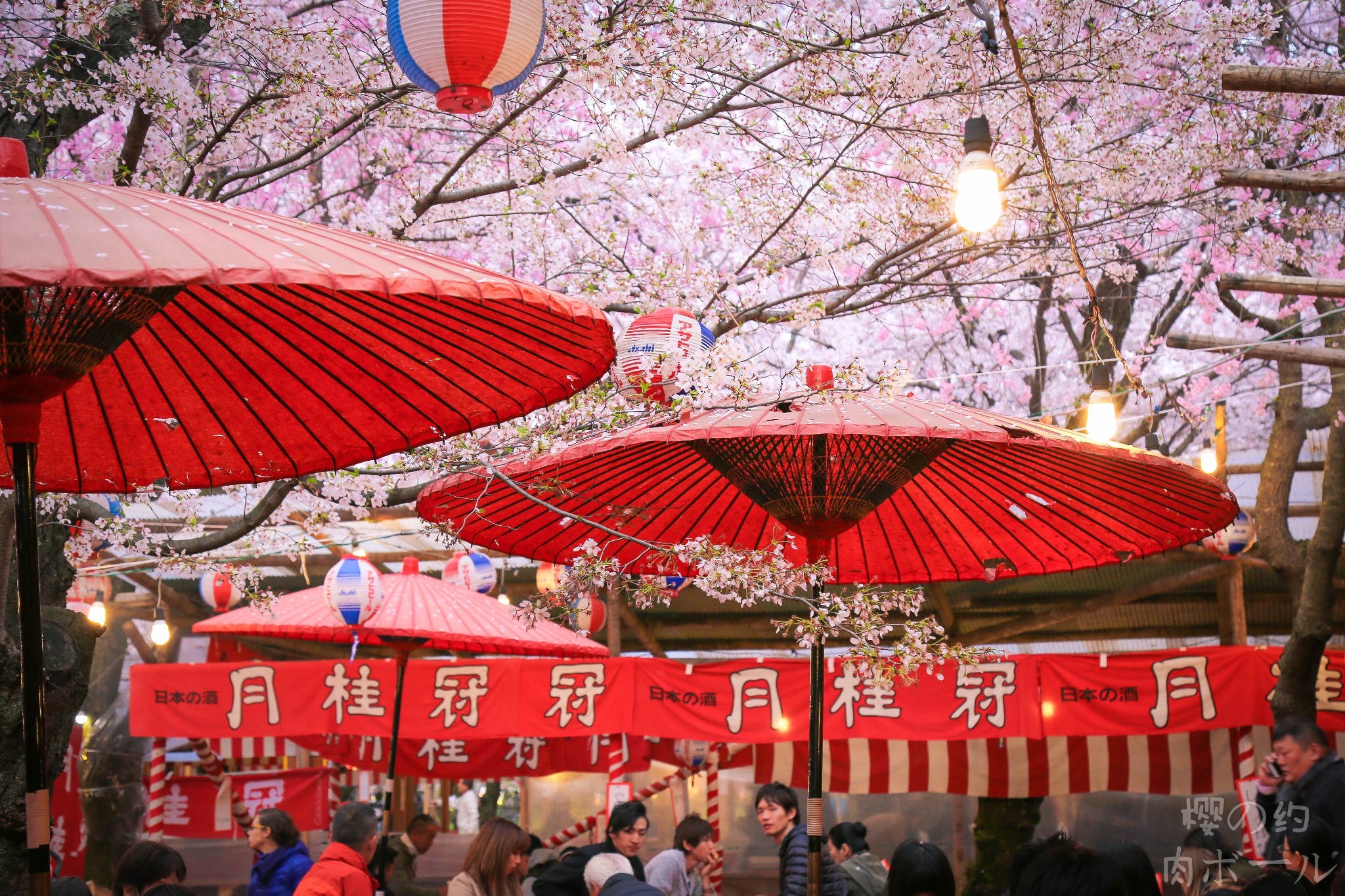 京都自助遊攻略