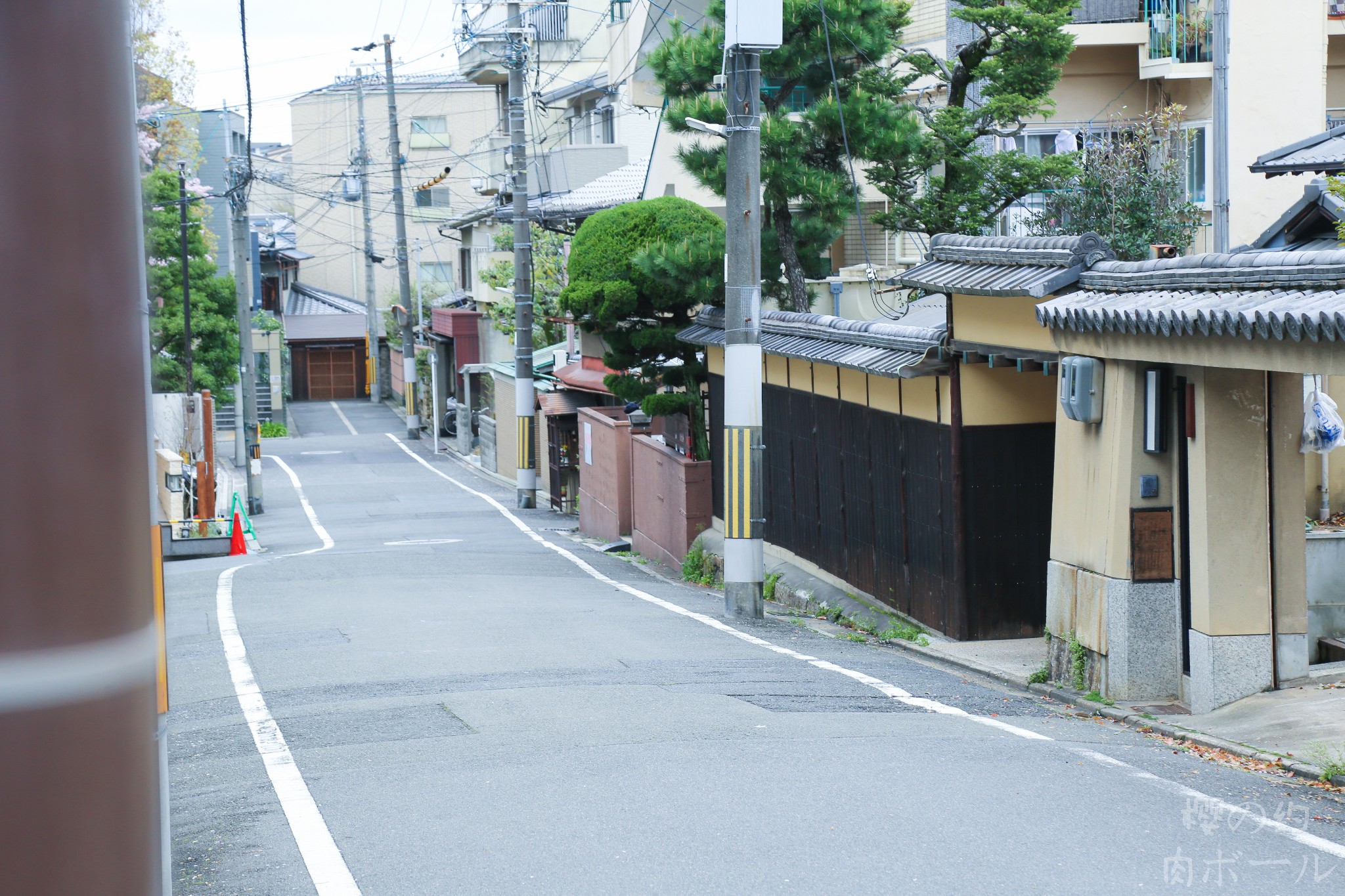 京都自助遊攻略