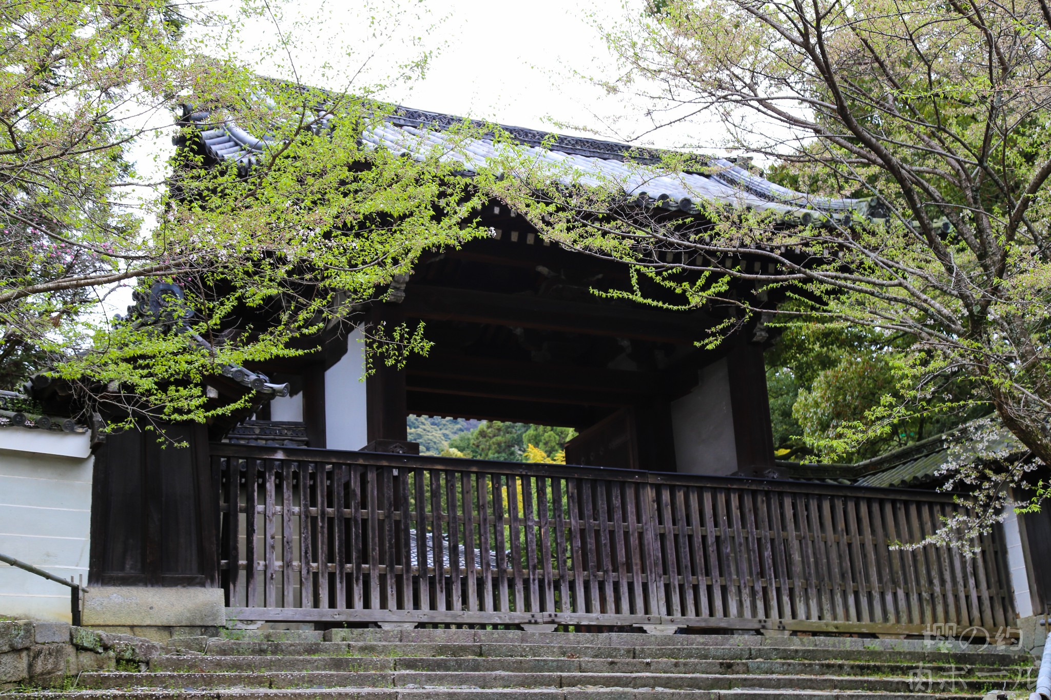 京都自助遊攻略