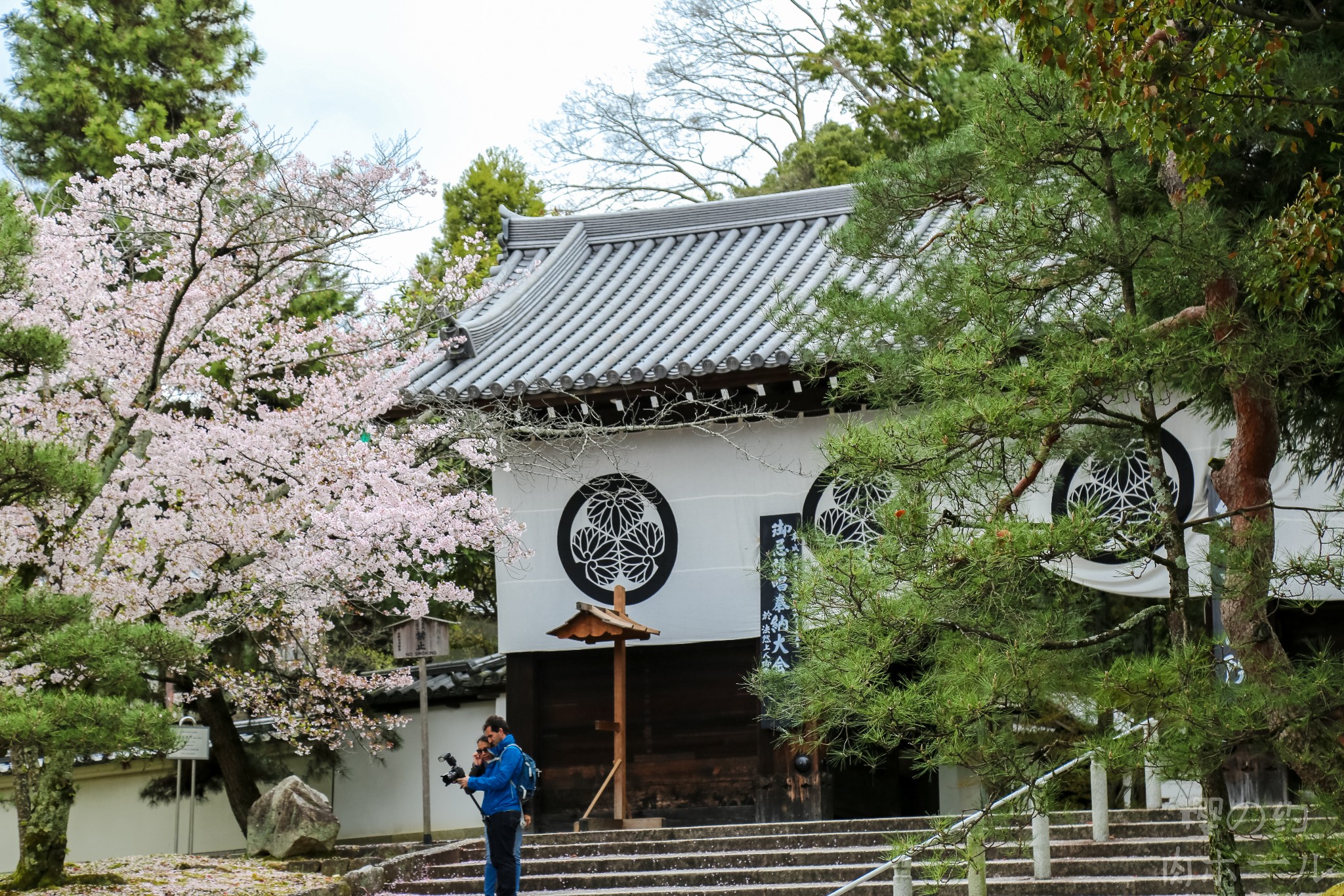 京都自助遊攻略