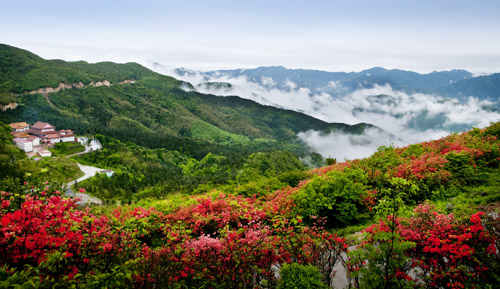 文艺3日小包团(台北总统府 诚品书店 西门町 阳明山国家公园 九份)