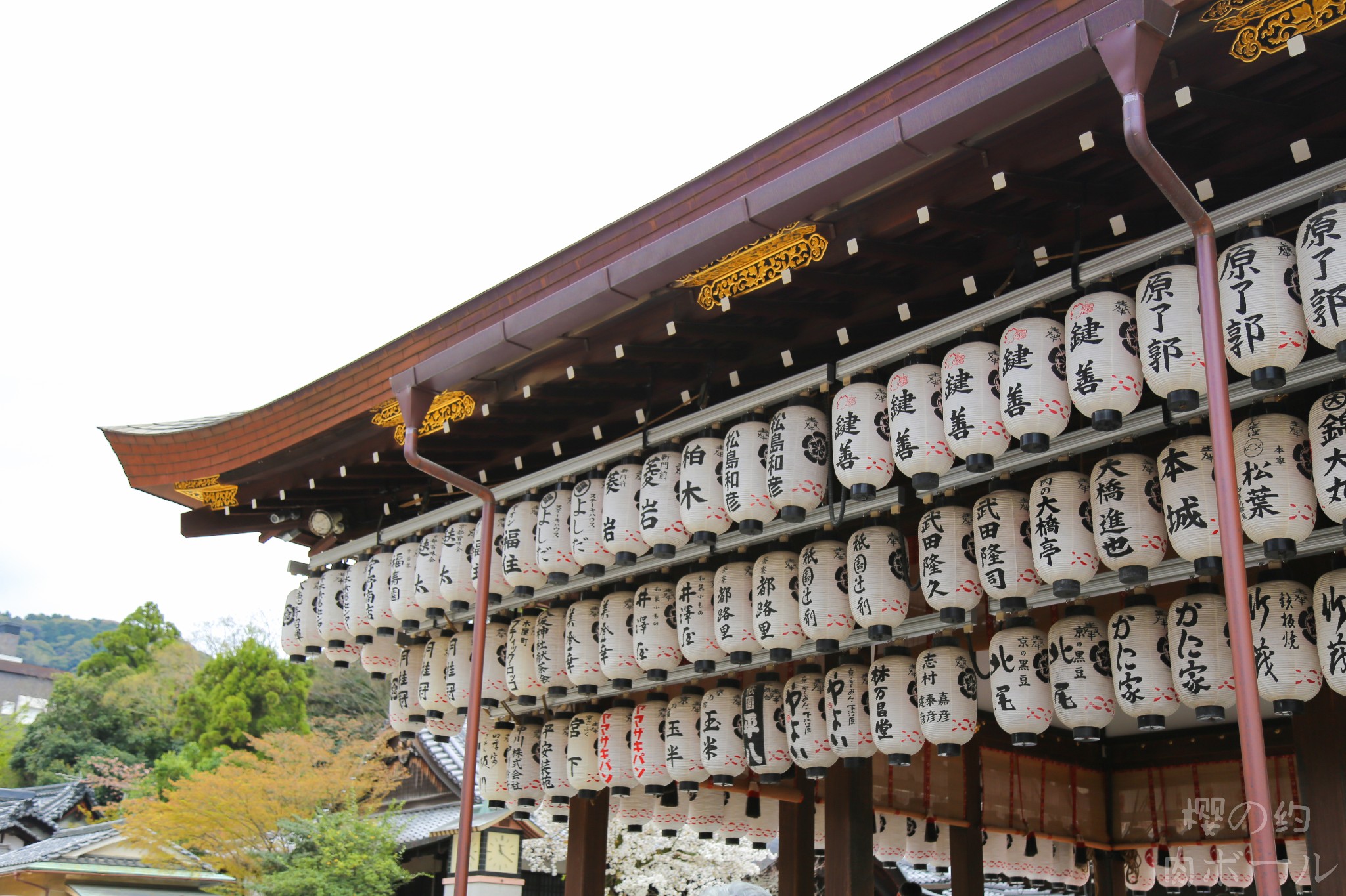 京都自助遊攻略