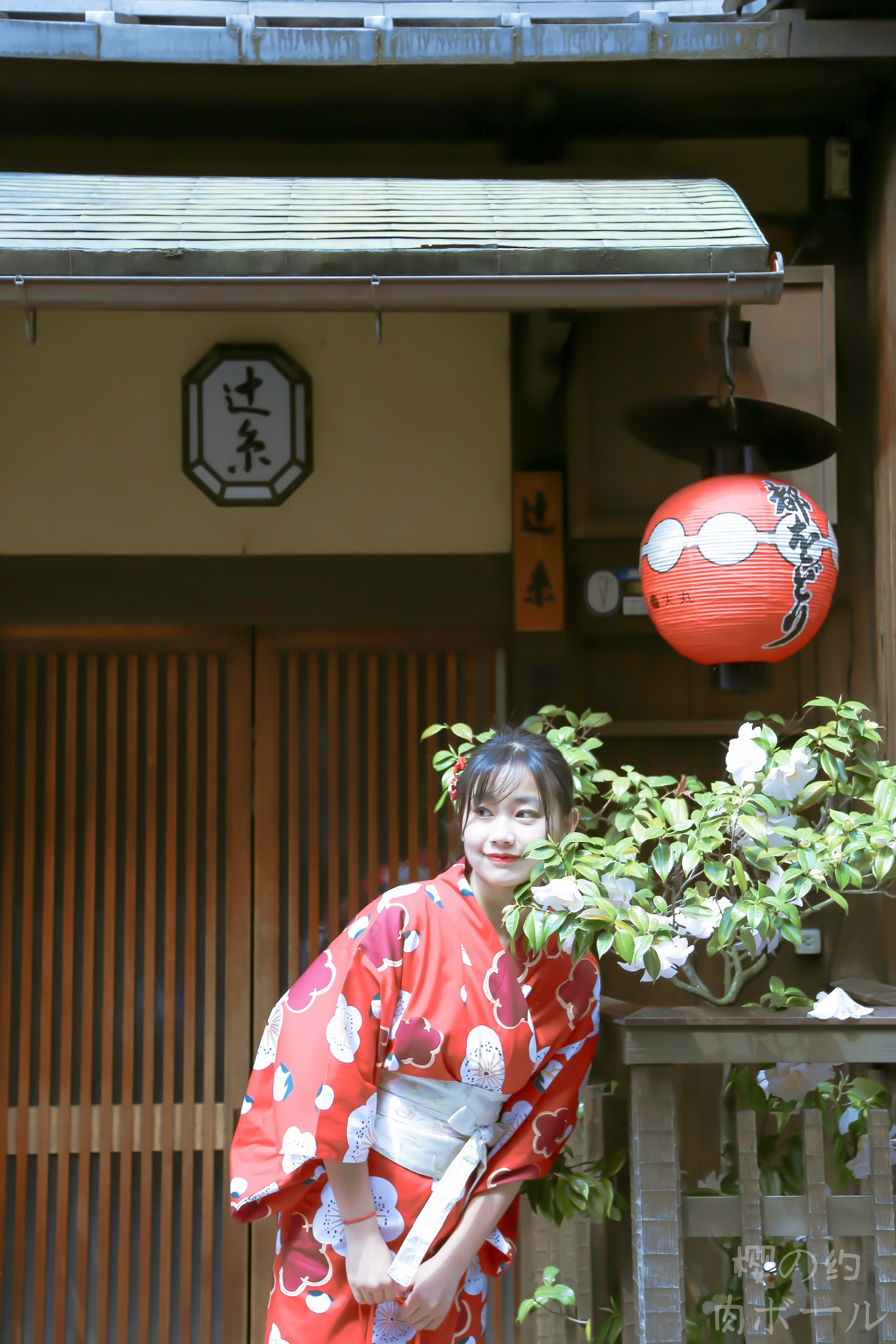 京都自助遊攻略