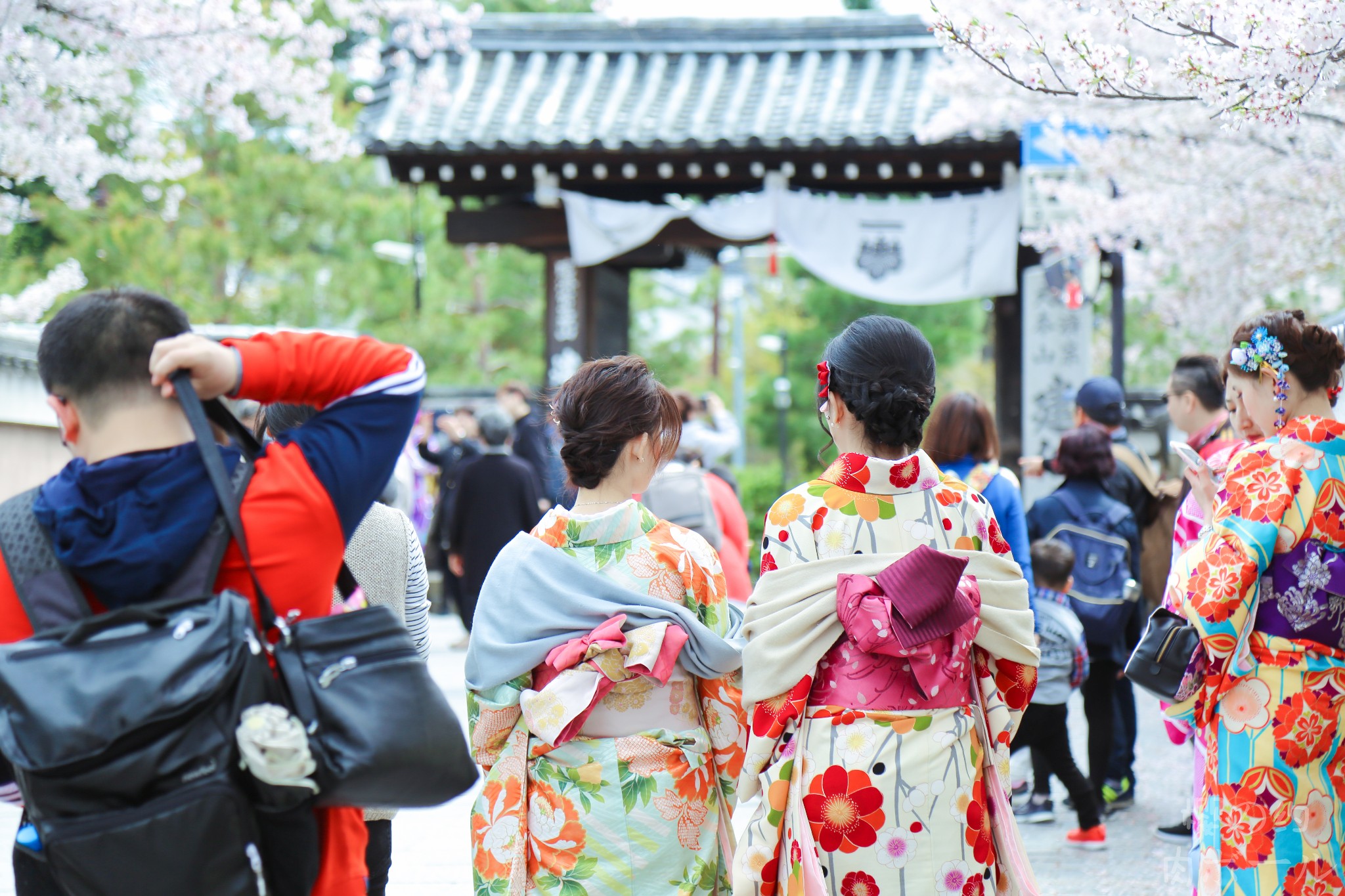 京都自助遊攻略