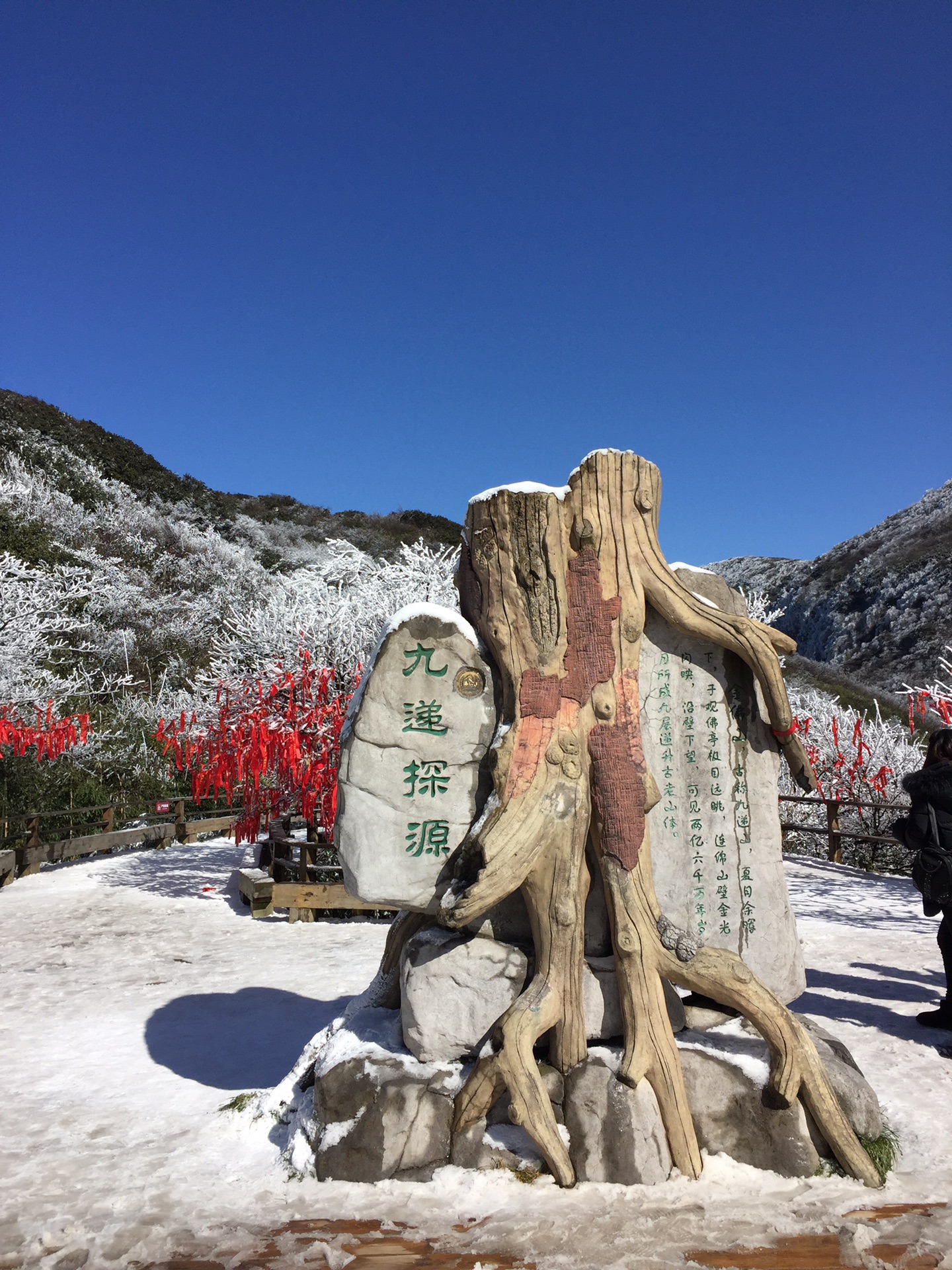 重庆南川金佛山游记