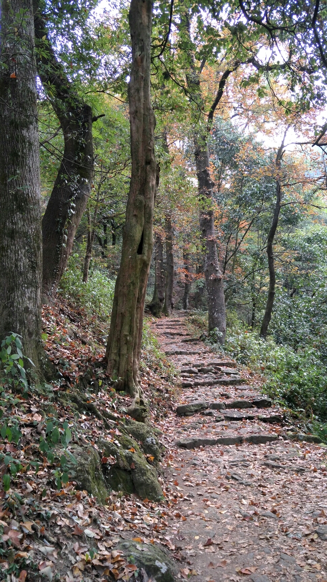 千年之东坪古道