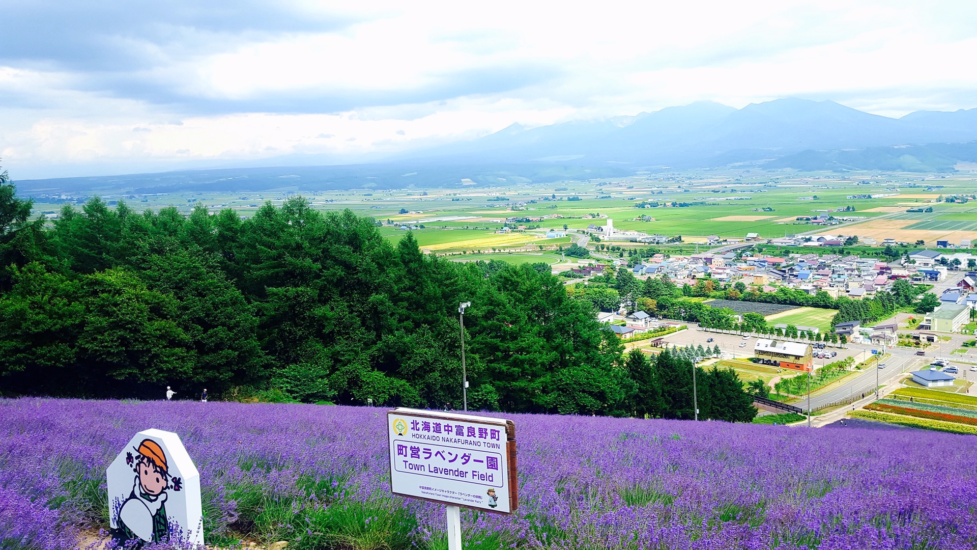 北海道自助遊攻略