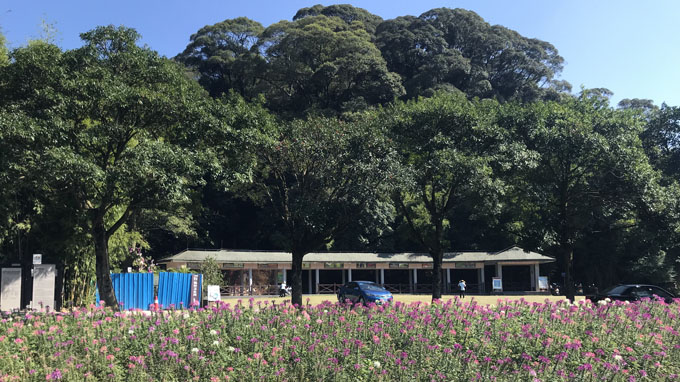 天池七彩絕美花海———石門森林公園61溪頭鄉村,從化自助遊攻略